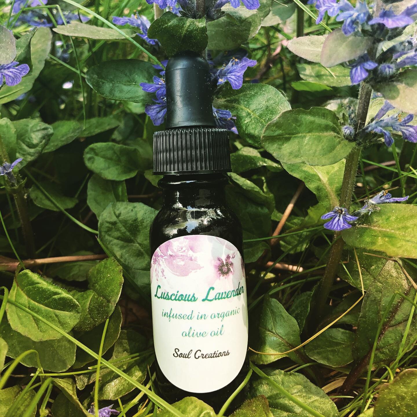 Lavender Oil 💜Always a favorite. Grab a bottle of this luscious body oil to anoint your skin with the delicate scent and calming feeling of lavender. Only a handful of bottles available but more coming soon, the lavender is about to bloom! 
DM for p