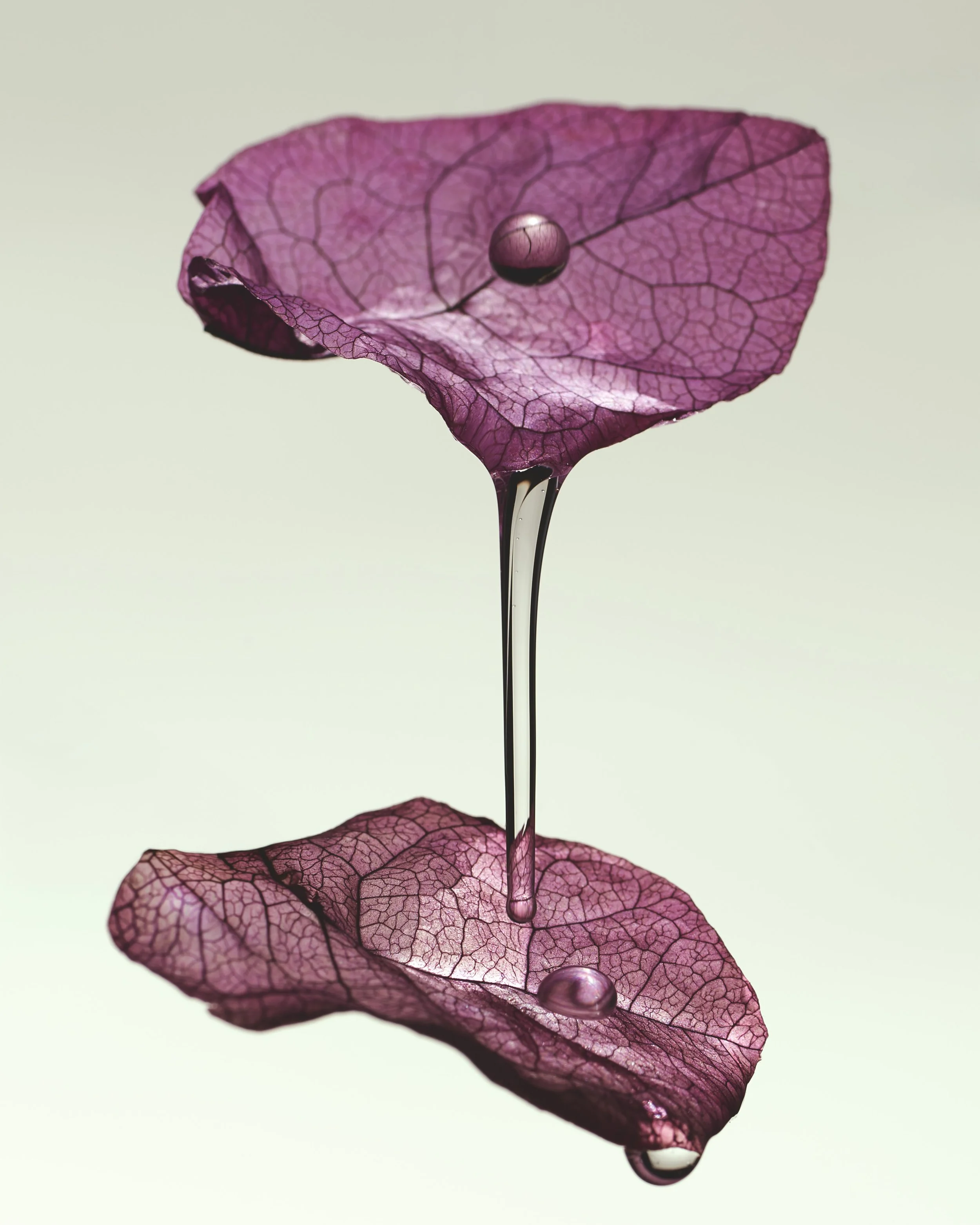 Untitled Session135952.jpg