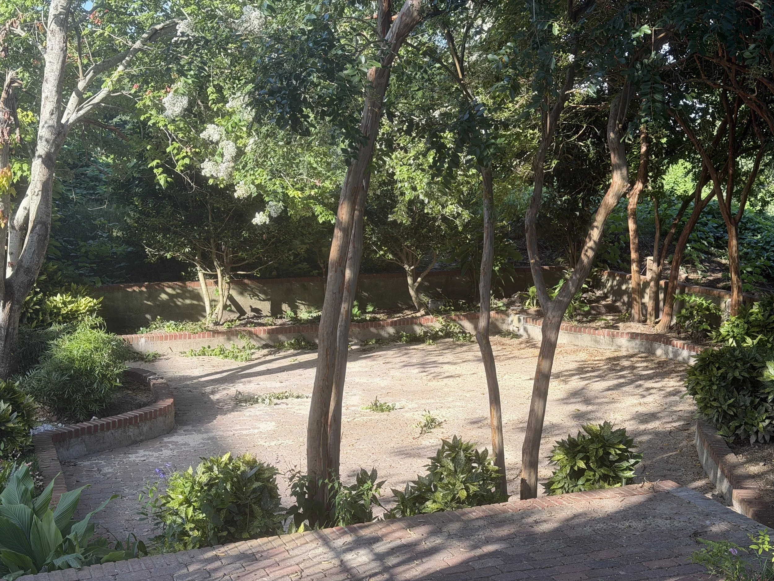 IMG_1422.jpeg