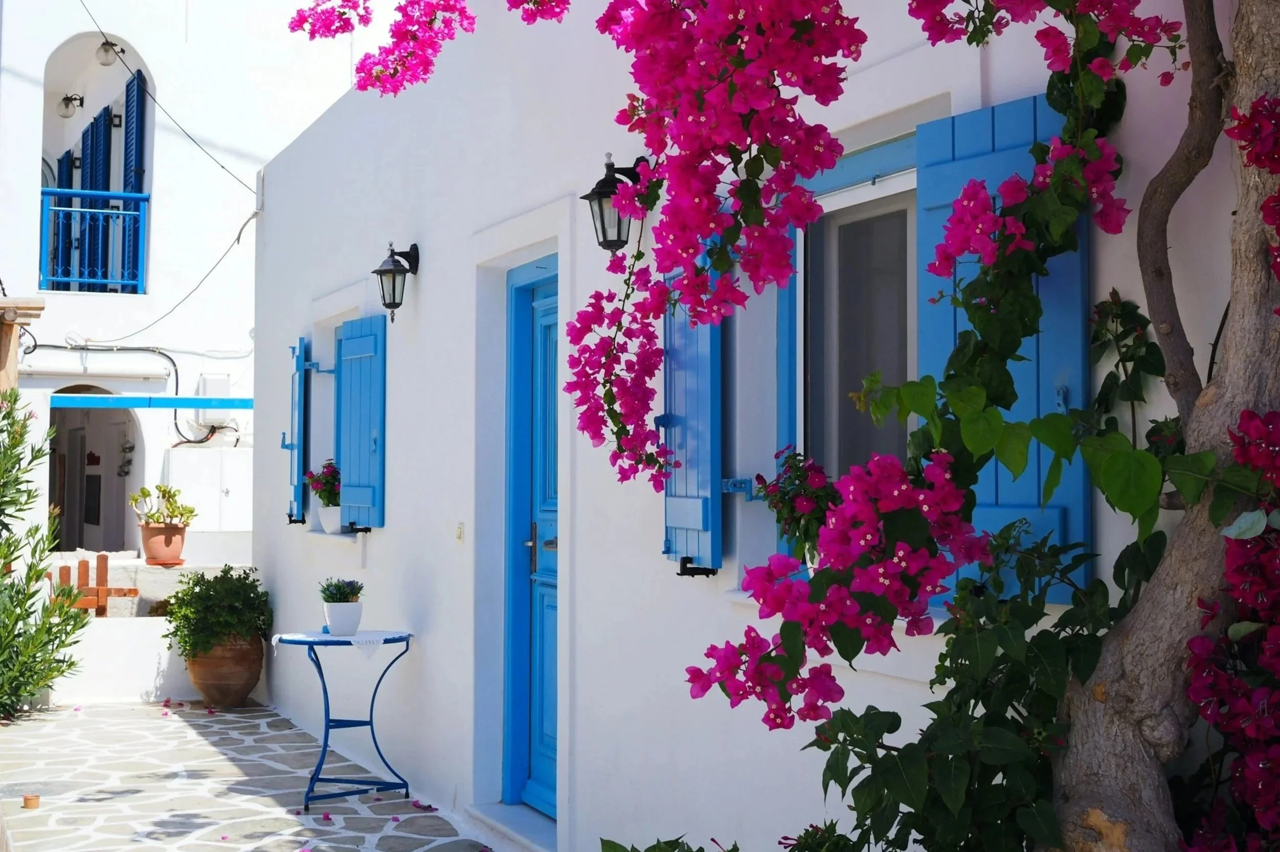 Adorable white Greek little home front with a blue door and shutters, as well as beautiful pink flowers on a tree growing in front