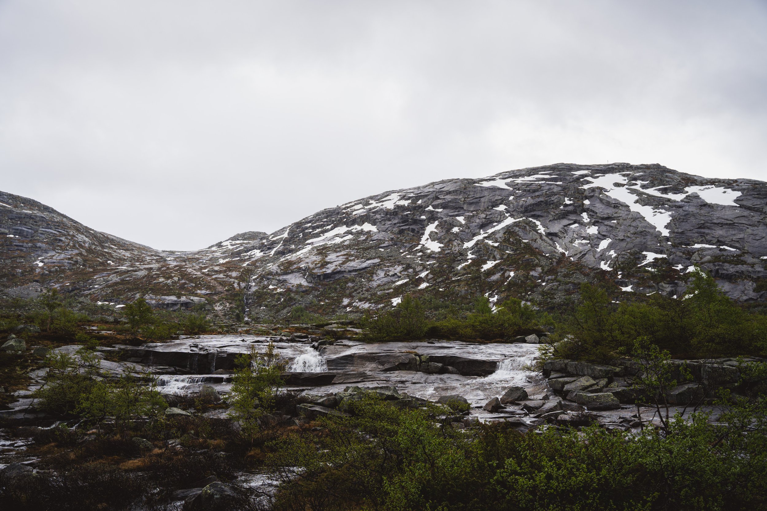 DSC07830.jpg