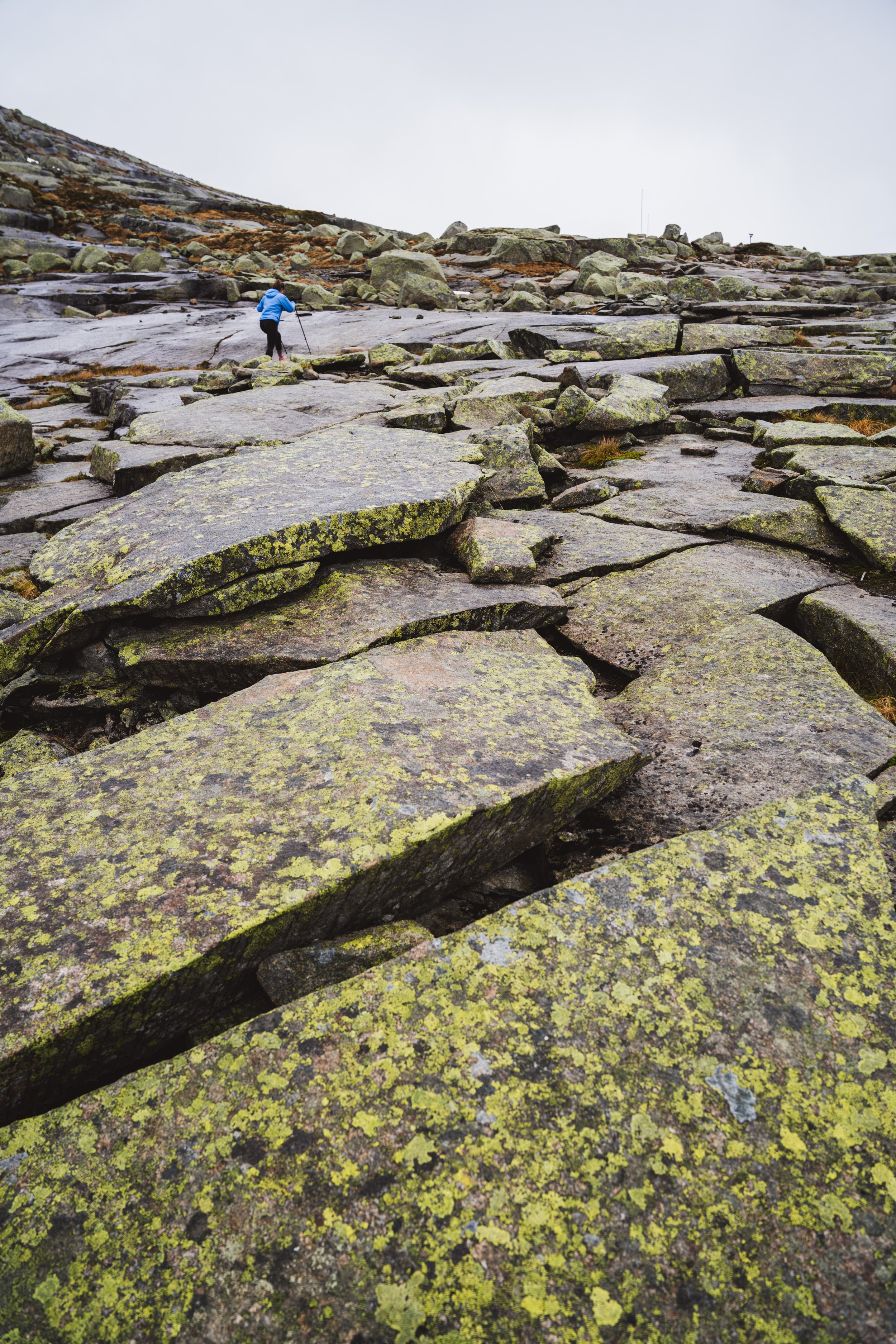 Lichen covering the rocks on the ascent