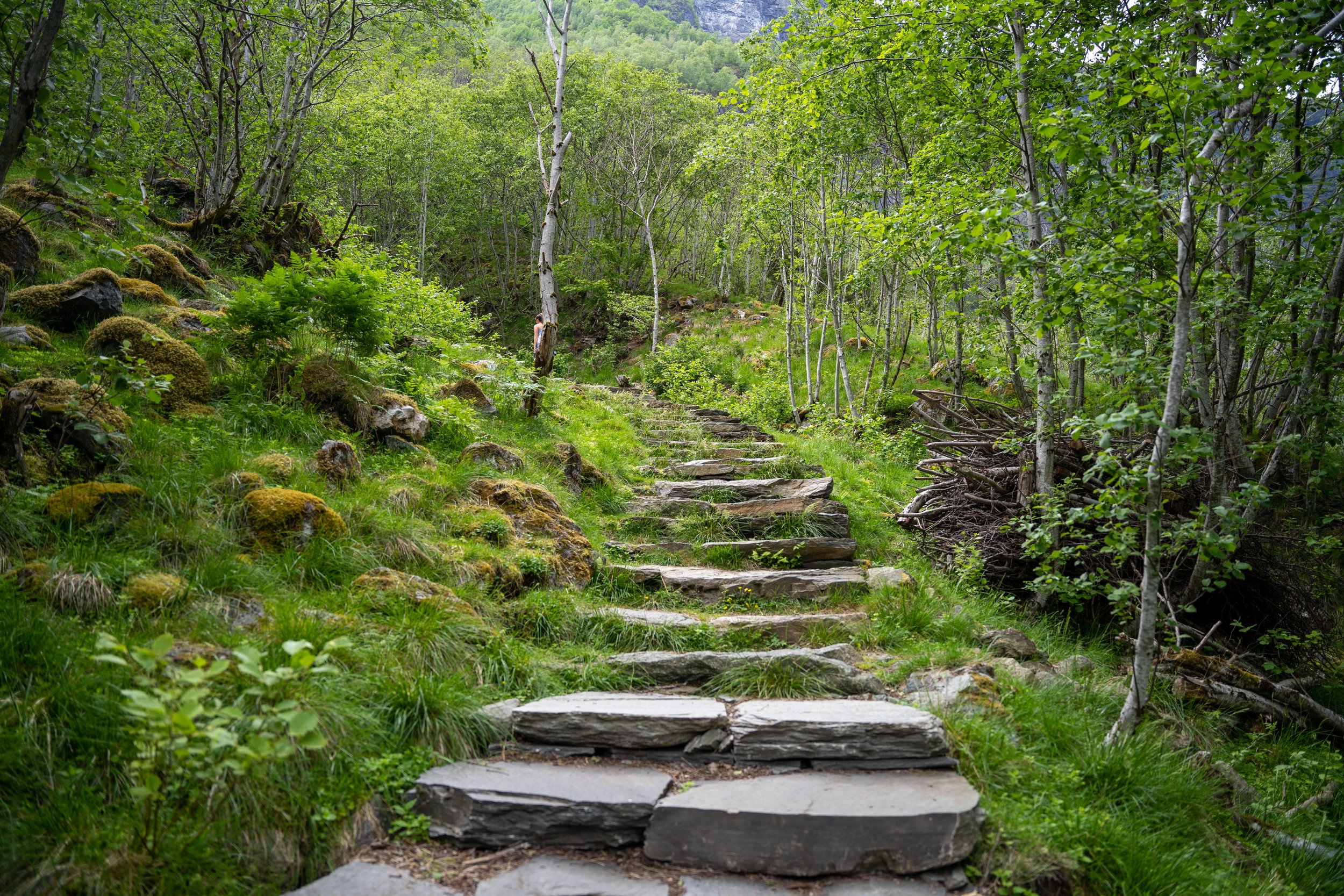 Steps leading up to Brekkefossen