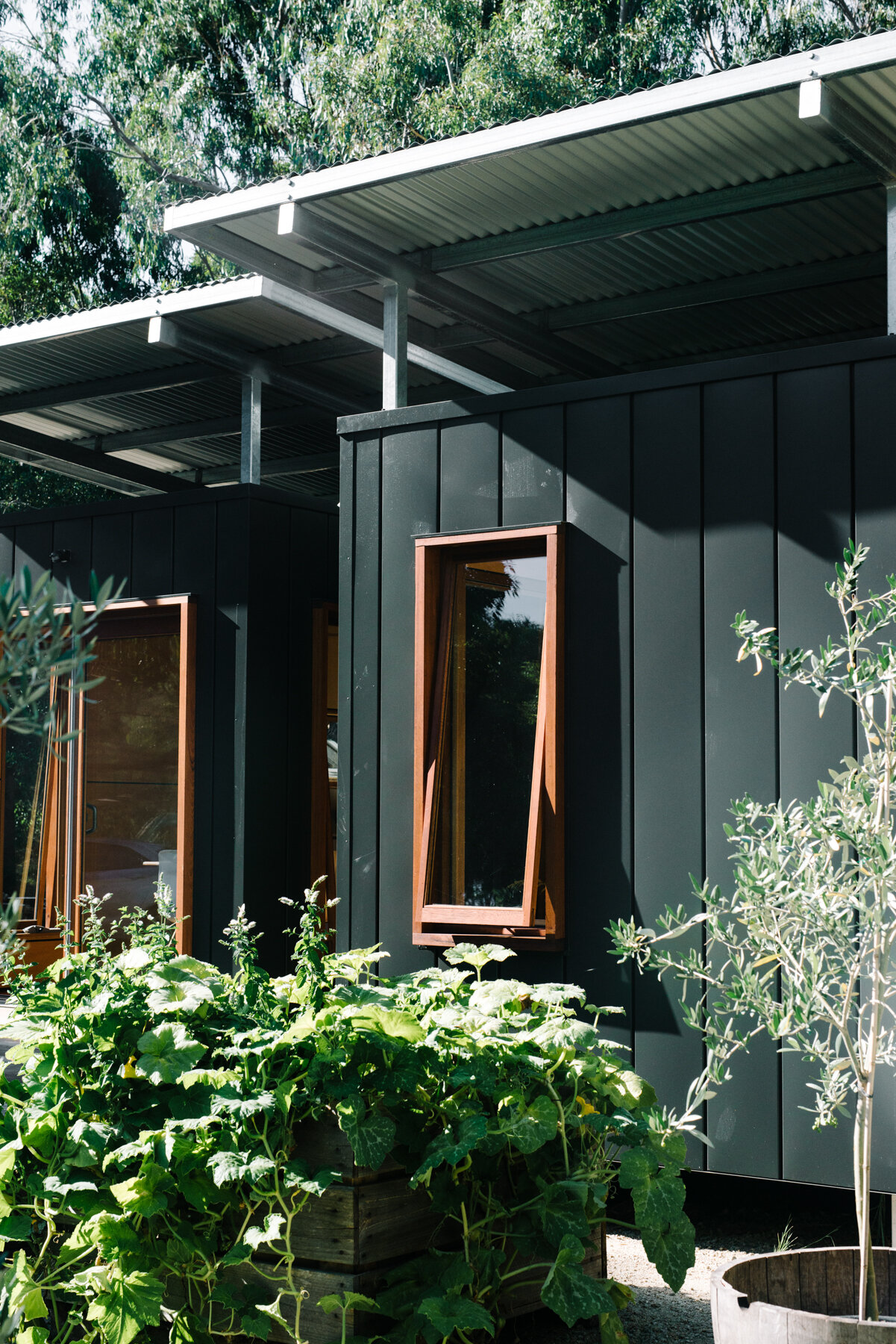 MODHOUSE0034.jpg