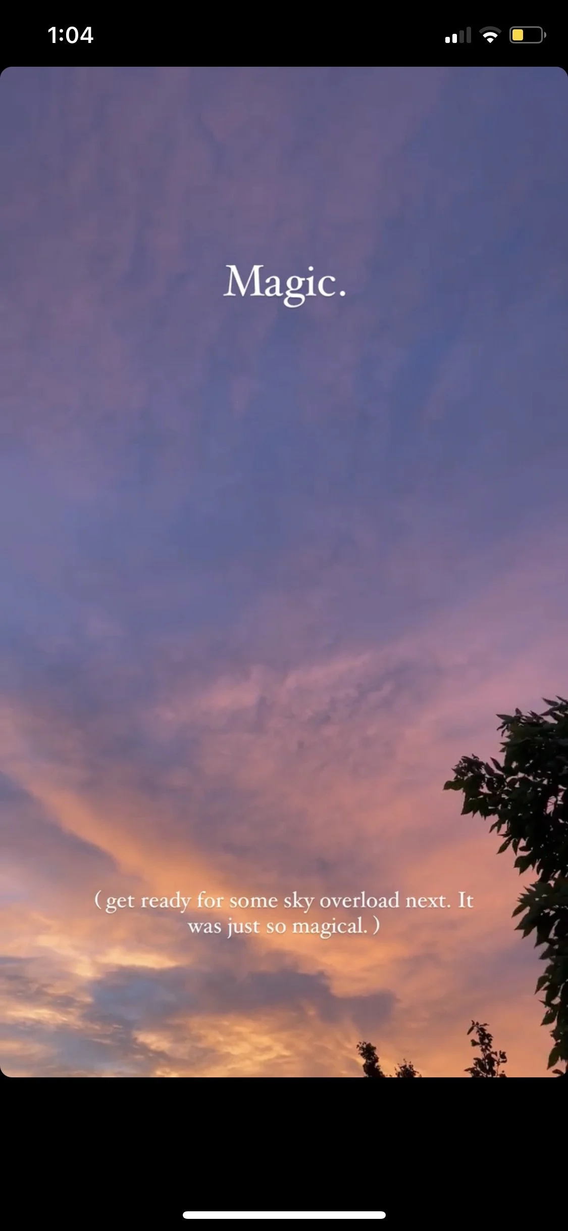 A sunset sky with purple and pink hues and silhouettes of trees, with the word 'Magic.' and a caption about a magical sky.
