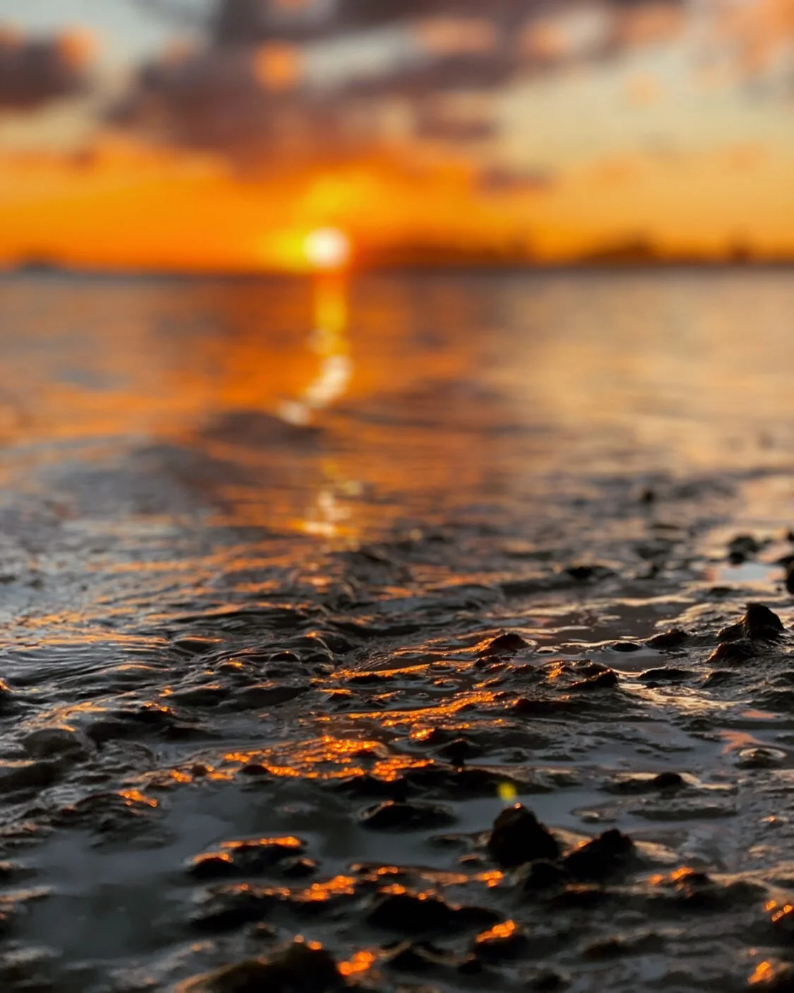 Keep your eyes on the next step,
Ride the wave, It&rsquo;s a short phase.
In time you will see 
With full clarity
The path is forged with the intention beneath your feet.

.
.
.
#creativelife #cultivate #createalifeyoulove #newlight #goals #2023 #tru