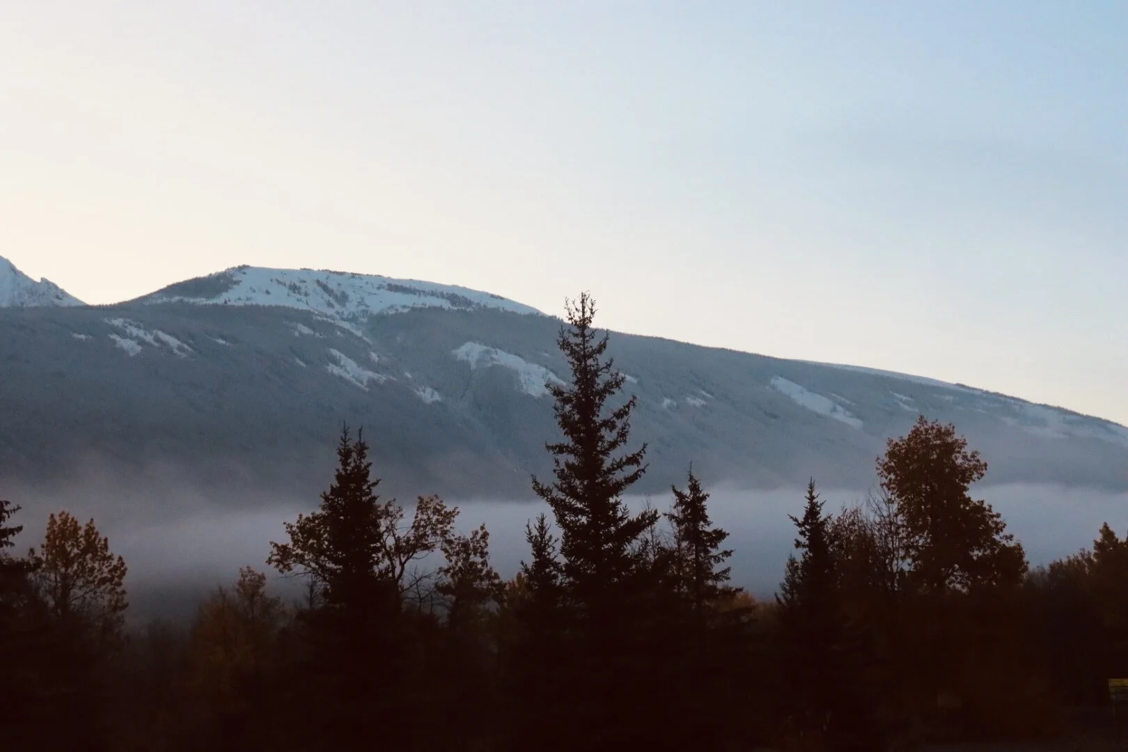 A mountain range with snow patches, a layer of fog, and a Foresta of tall conifer trees in the foreground.