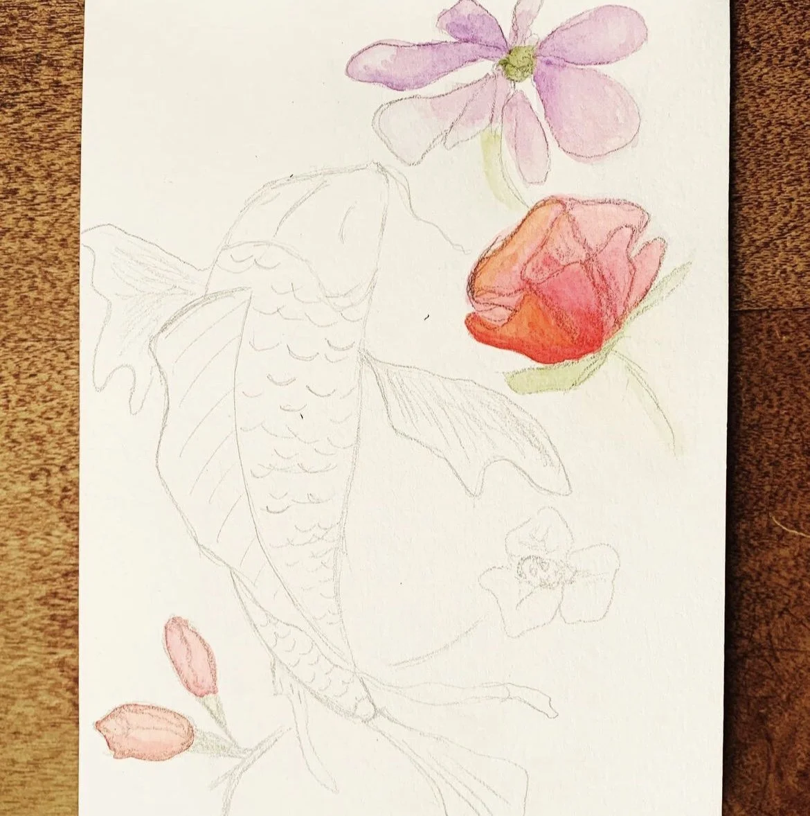 Koi fish