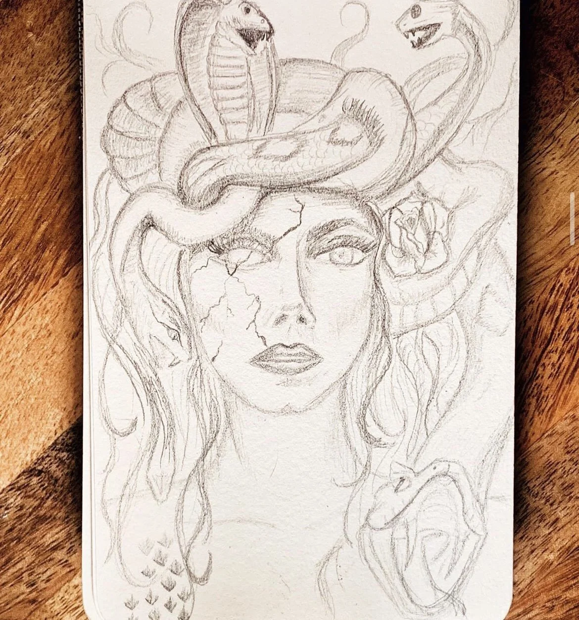 Medusa snake head pencil drawing