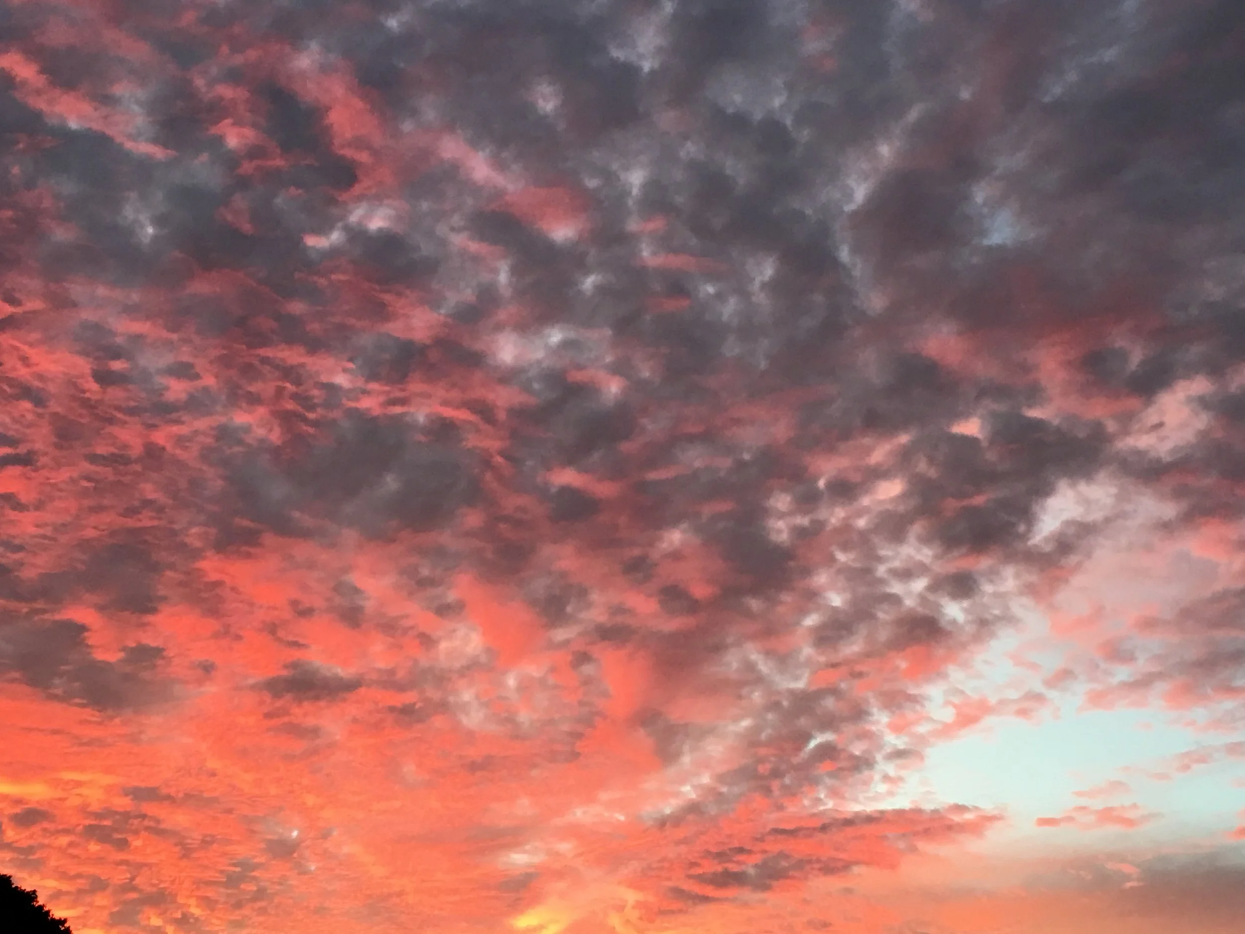 1139726B-0EA8-45DD-BAC9-2C15E0F97CE2.jpeg