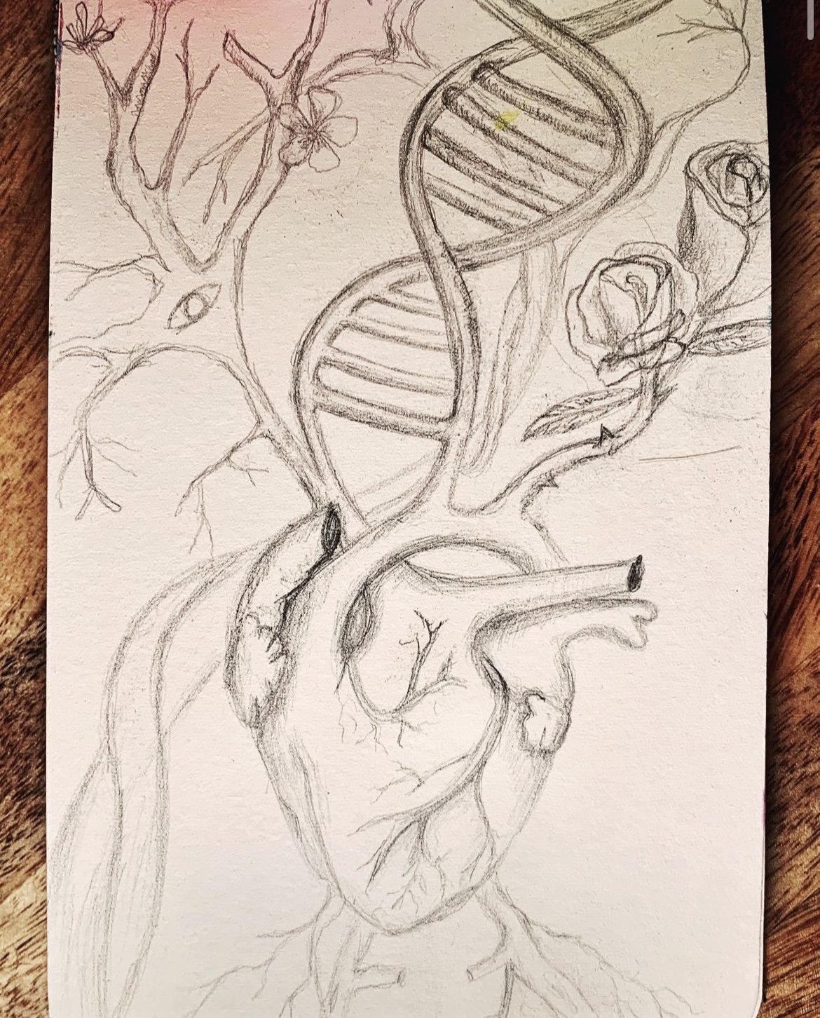 Hearts
