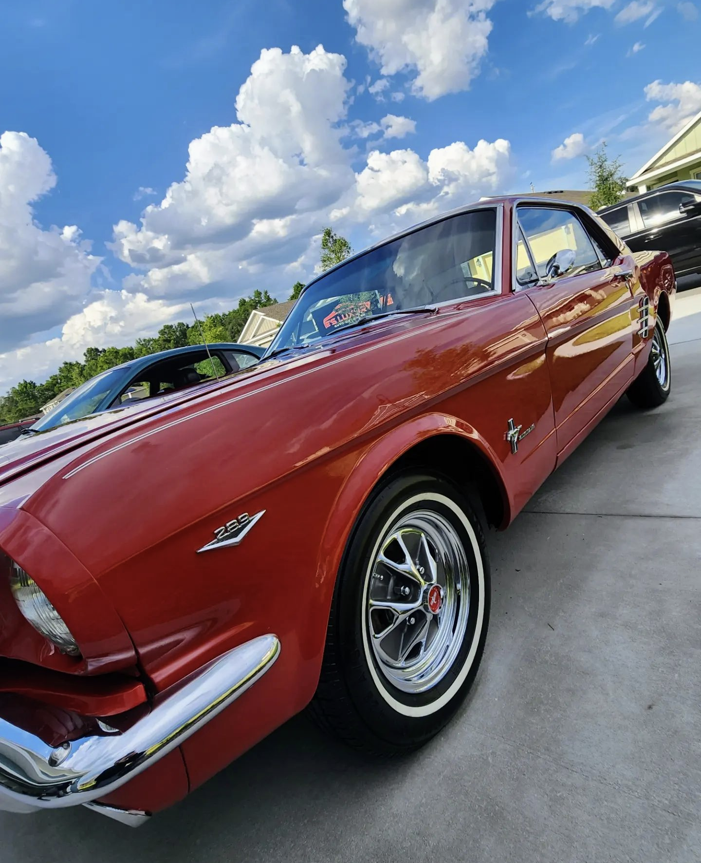 1965 Mustang Paint Correction & 1 Year Ceramic Coating