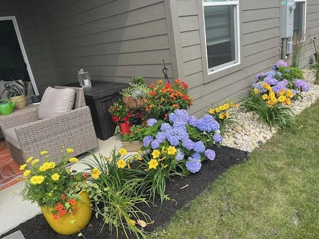 Haven Back Yard (1).jpg