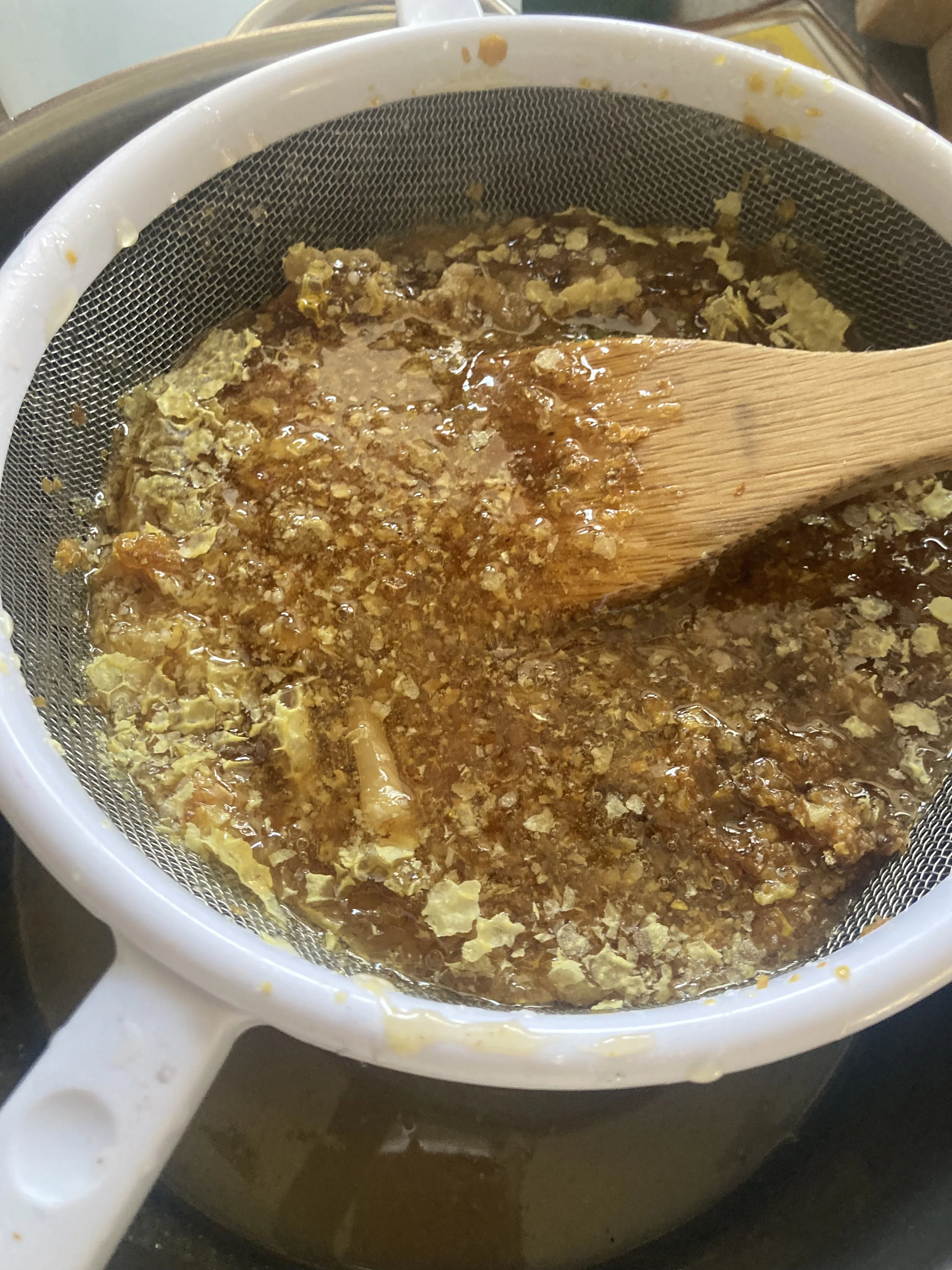 Honey Tasting at San Mul
