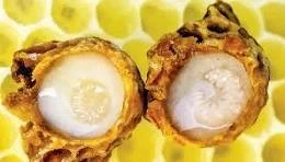 royal jelly.jpg