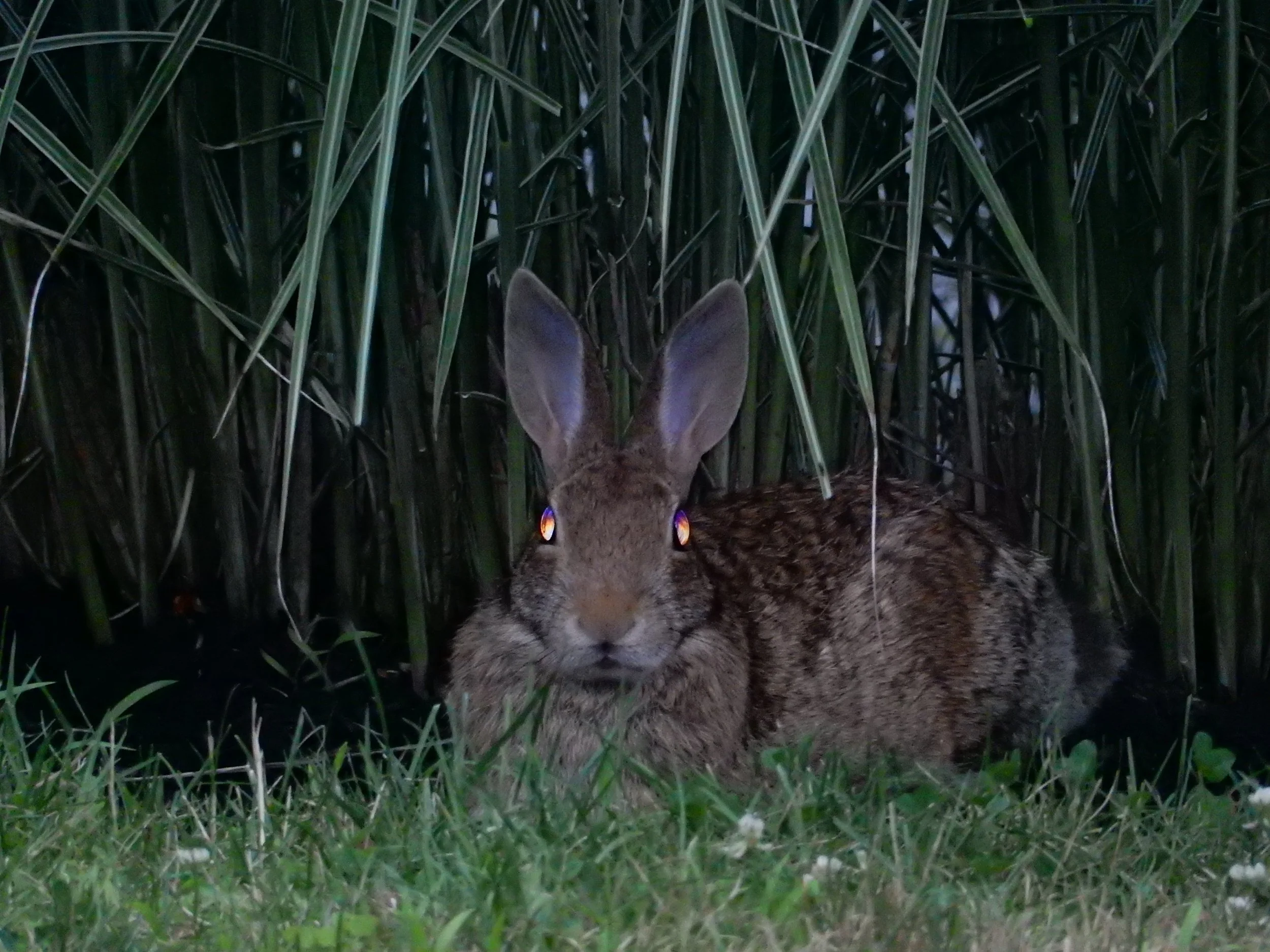 "The Abyss gazes back at you"