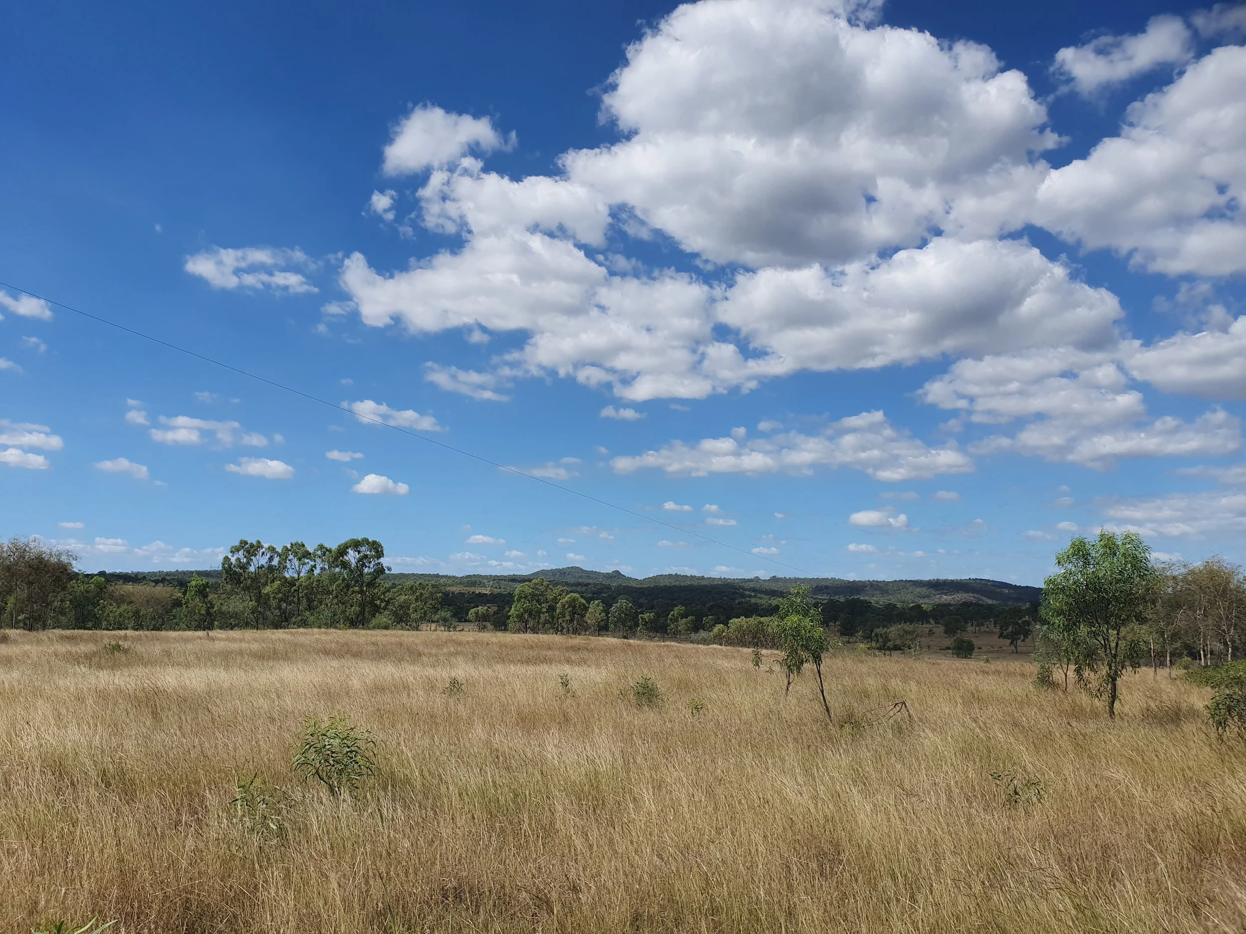 Australian Government Grants EPBC Approval for Moah Creek Wind Farm