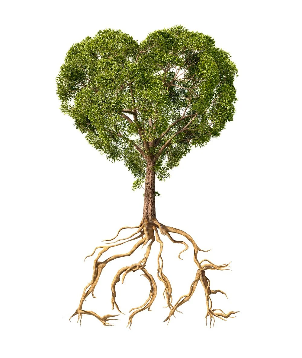 A tree with a heart-shaped canopy and visible roots against a white background.
