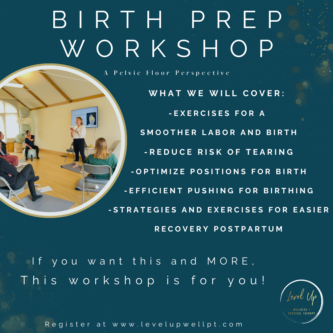 Birth Prep Workshop: A Pelvic Floor Perspective 