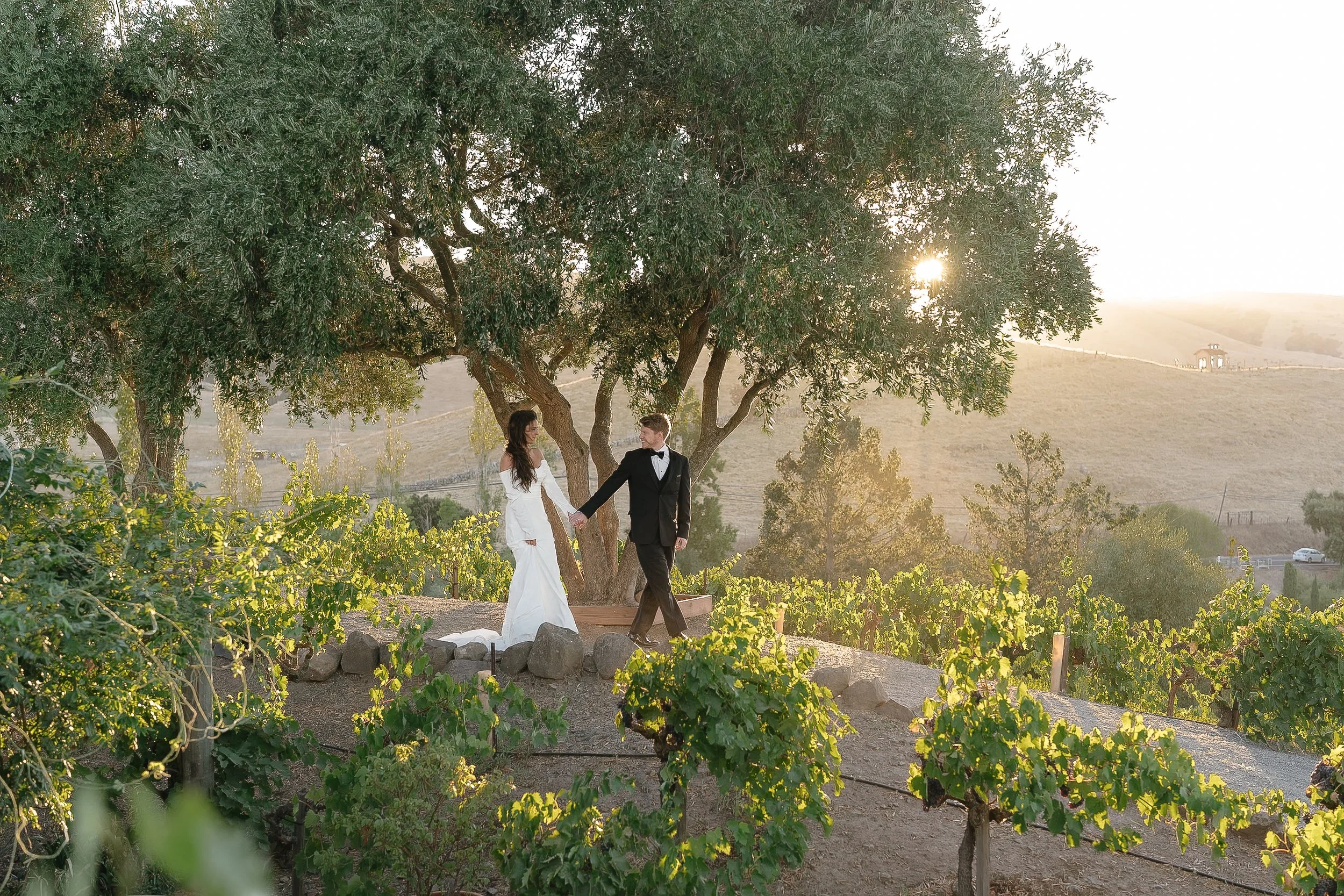 Cat + Josh - Viansa Wedding