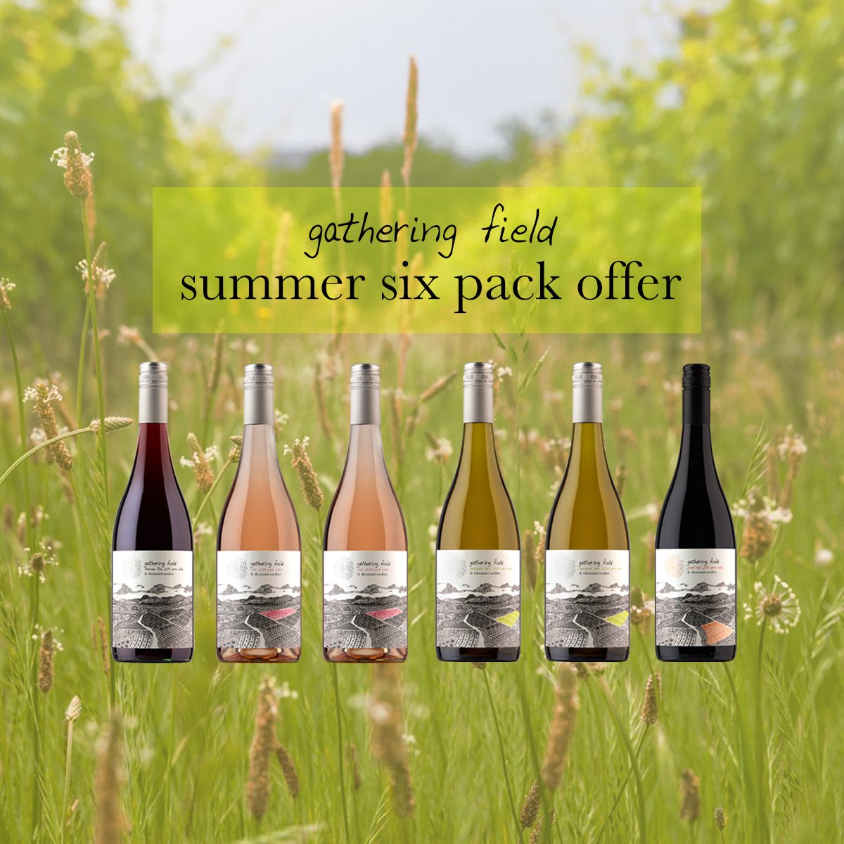 our wine — thousand candles