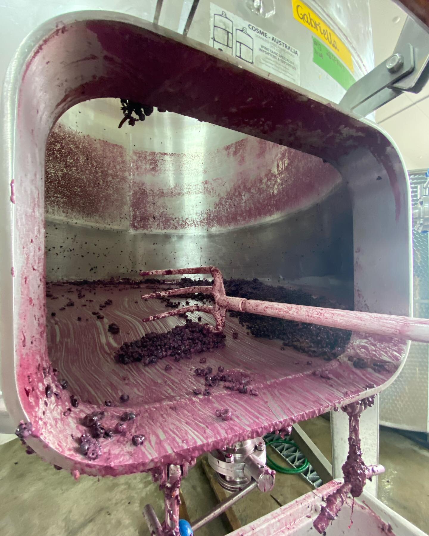 With a break from picking it&rsquo;s time to start pressing. All the early ferments of Pinot Noir are looking great. Always a nice feeling to see the results of the teams hard work come together&hellip;
****
****
****
#thousandcandles #pinotnoir #pre