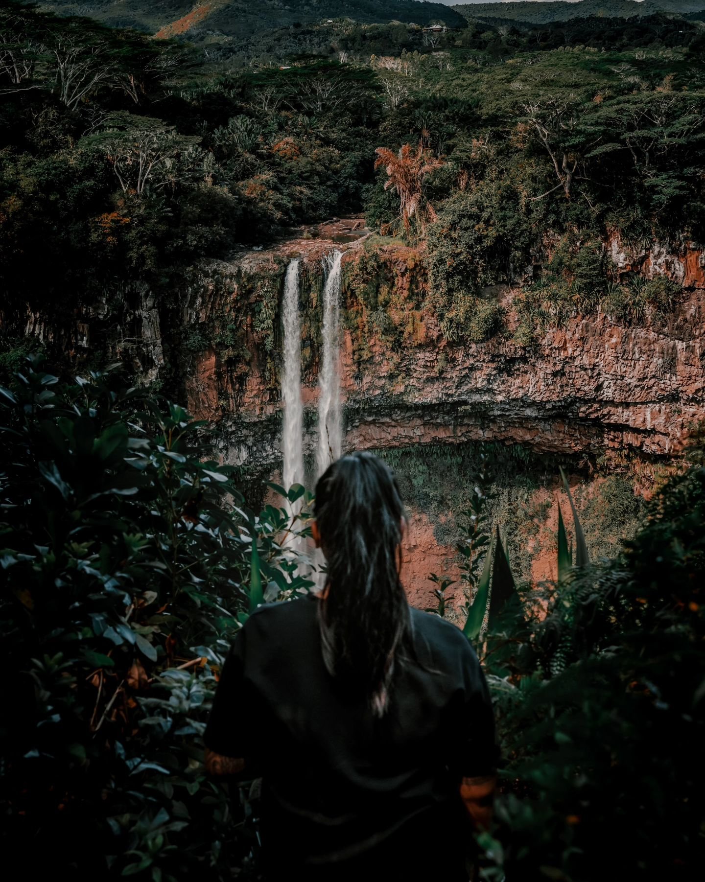 Postcards from Mauritius

#bestforestmood #woodlands_and_water
#nature_moods #planet_earth_shots
#bpa_nature #worldshares #nature_perfection #the_folknature
#divine_forest #earth_shotz
#zoomnl #sonya7iii #rsa_outdoors
#naturelover_gr #outdoortones #m