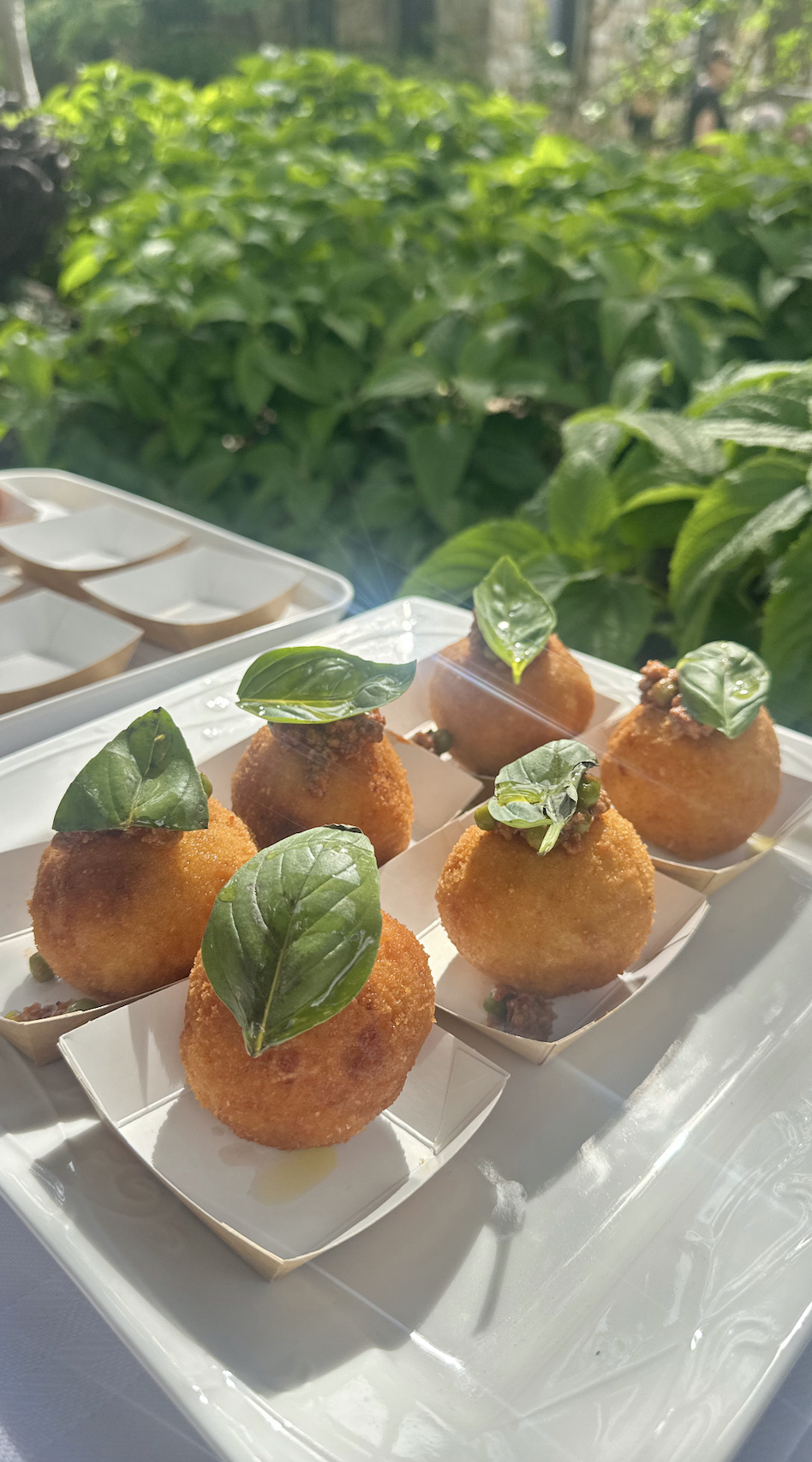 Screen Shot 2026-04-04 at 12.06.27 pm.png