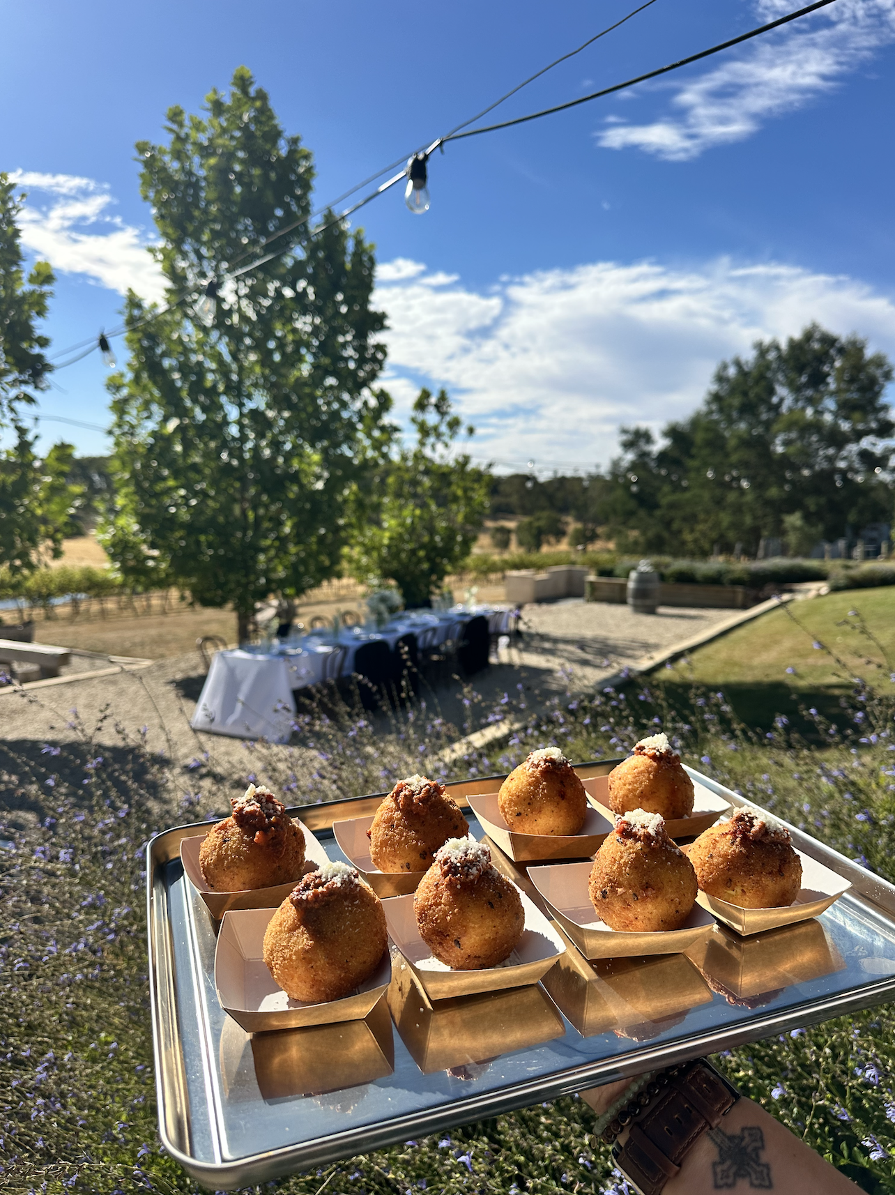 Screen Shot 2026-04-04 at 12.18.15 pm.png