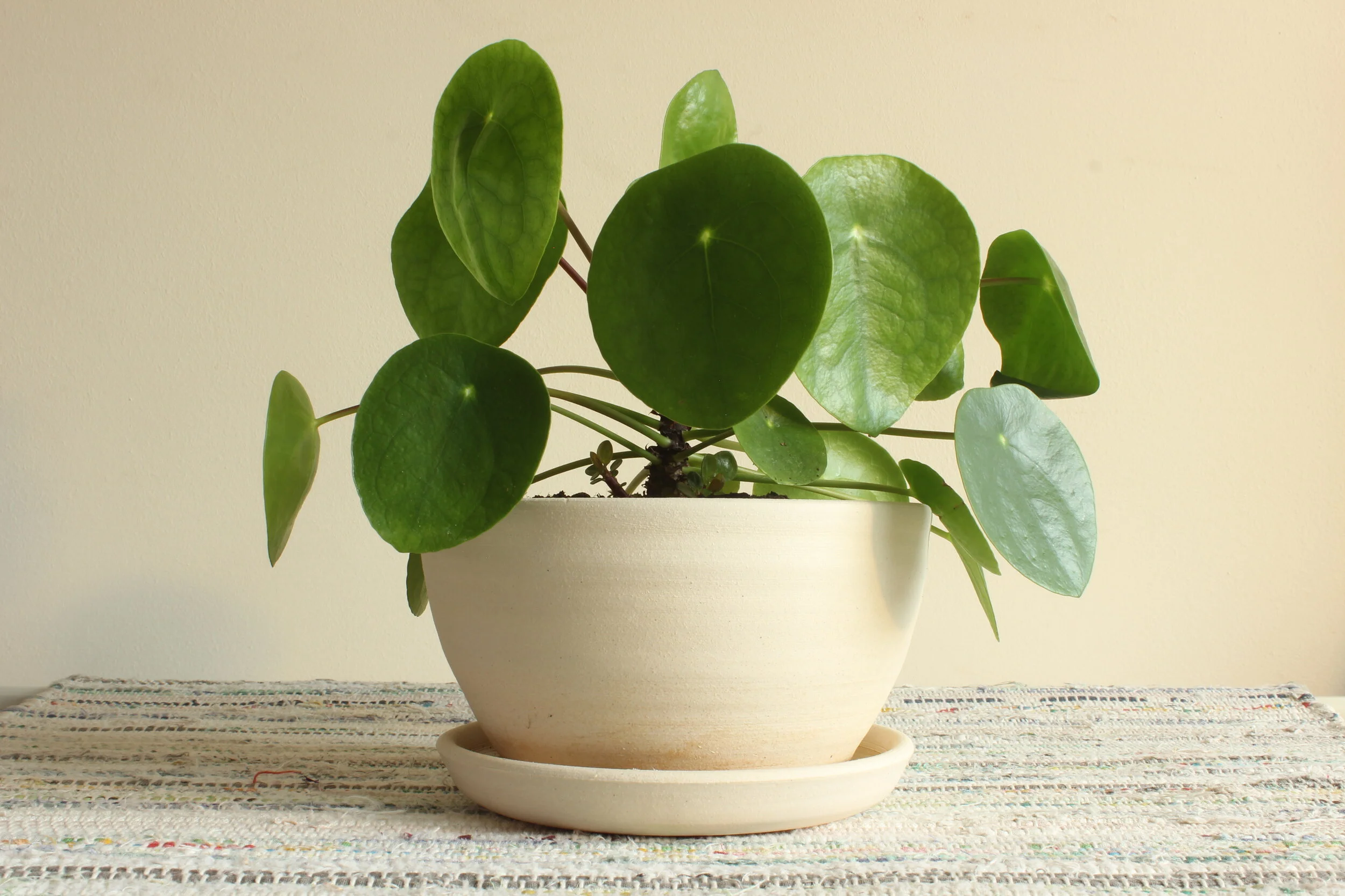 Plant Pot, White Stoneware.