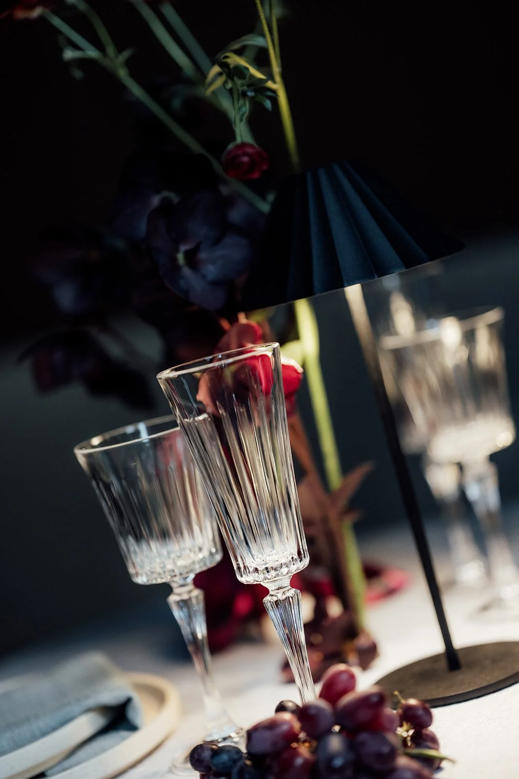 LWSP- daisy-0211_websize.jpg