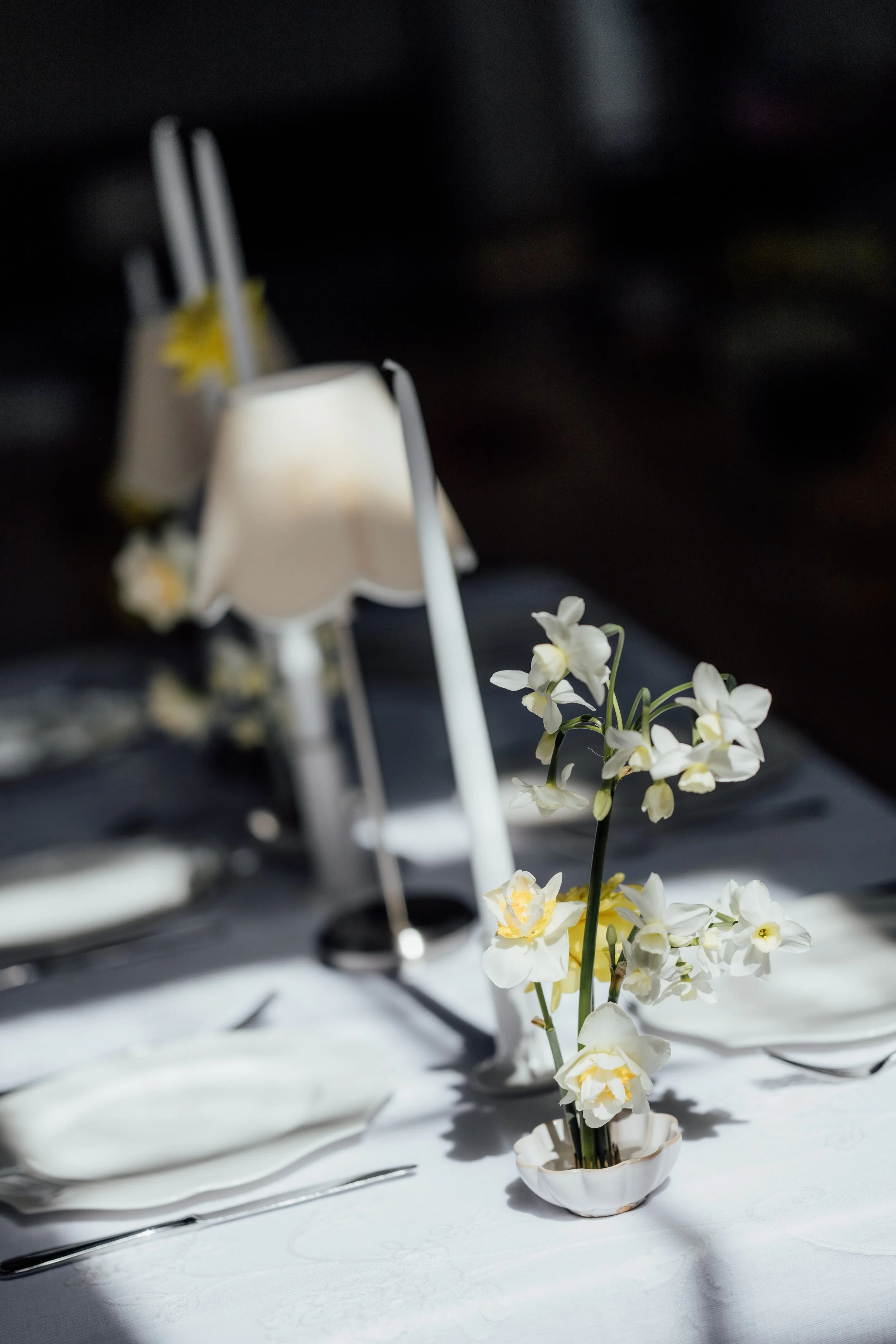 LWSP-  melblooms-4986.jpg