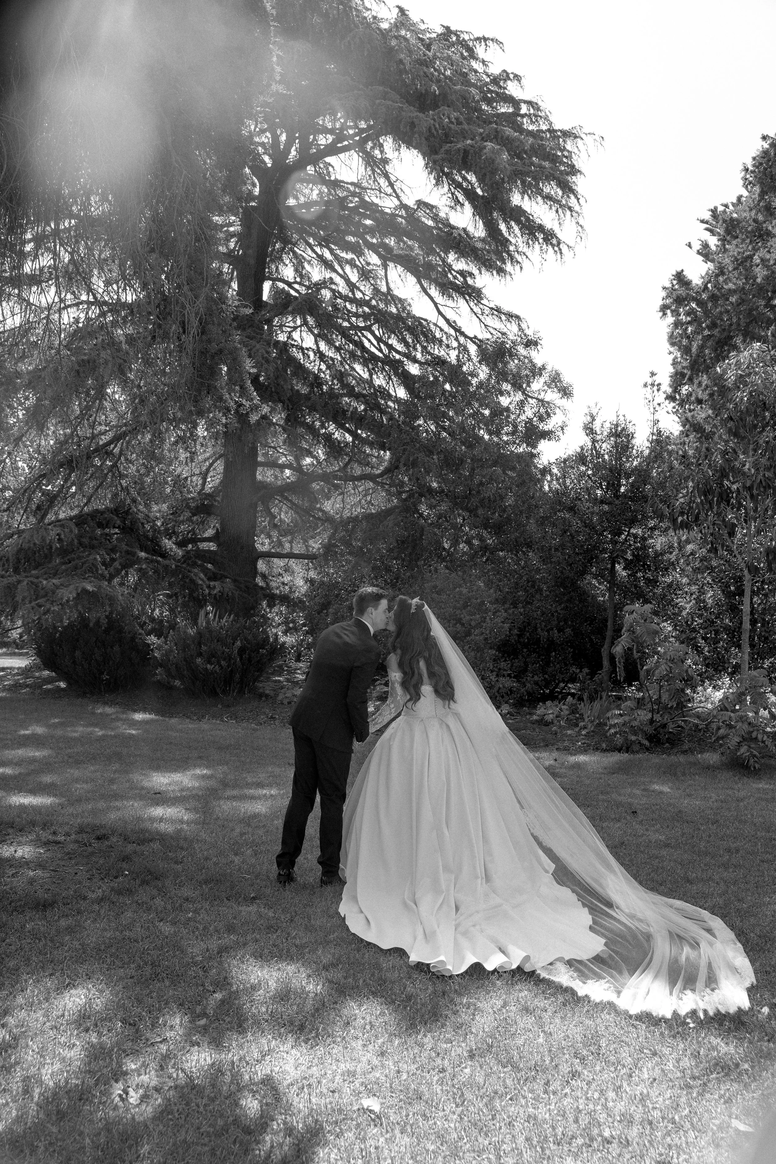 sneak peeks20703.jpg