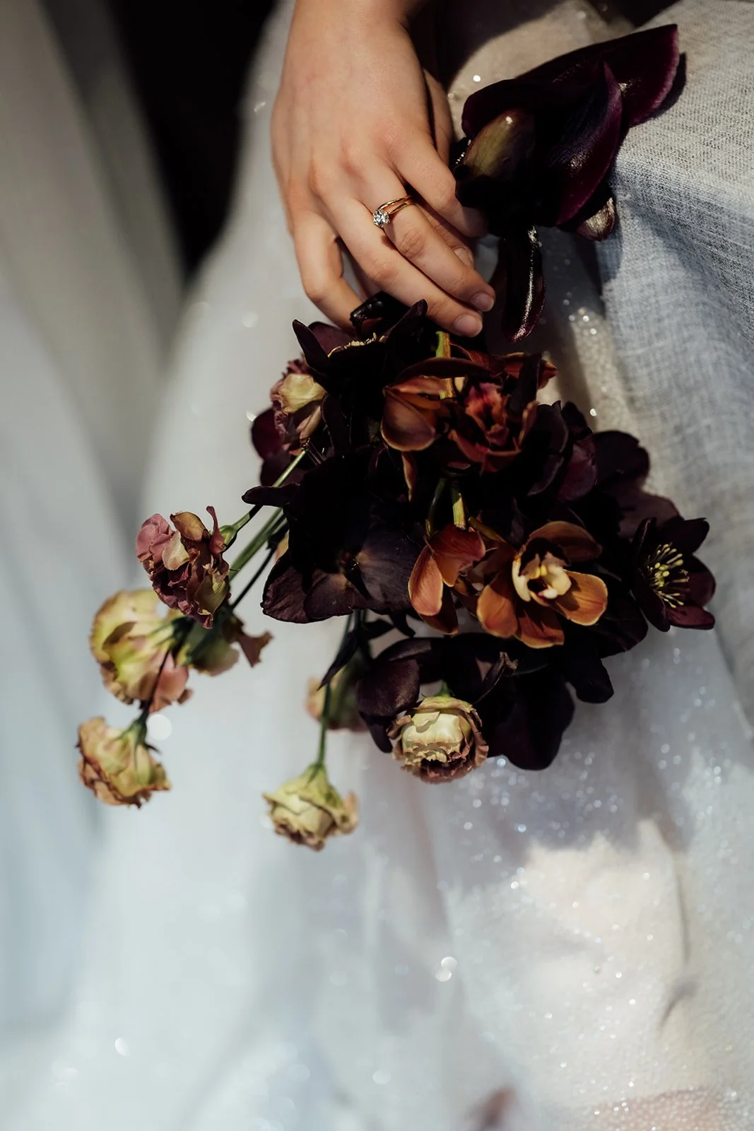 LWSP- daisy-0170_websize-2.jpg