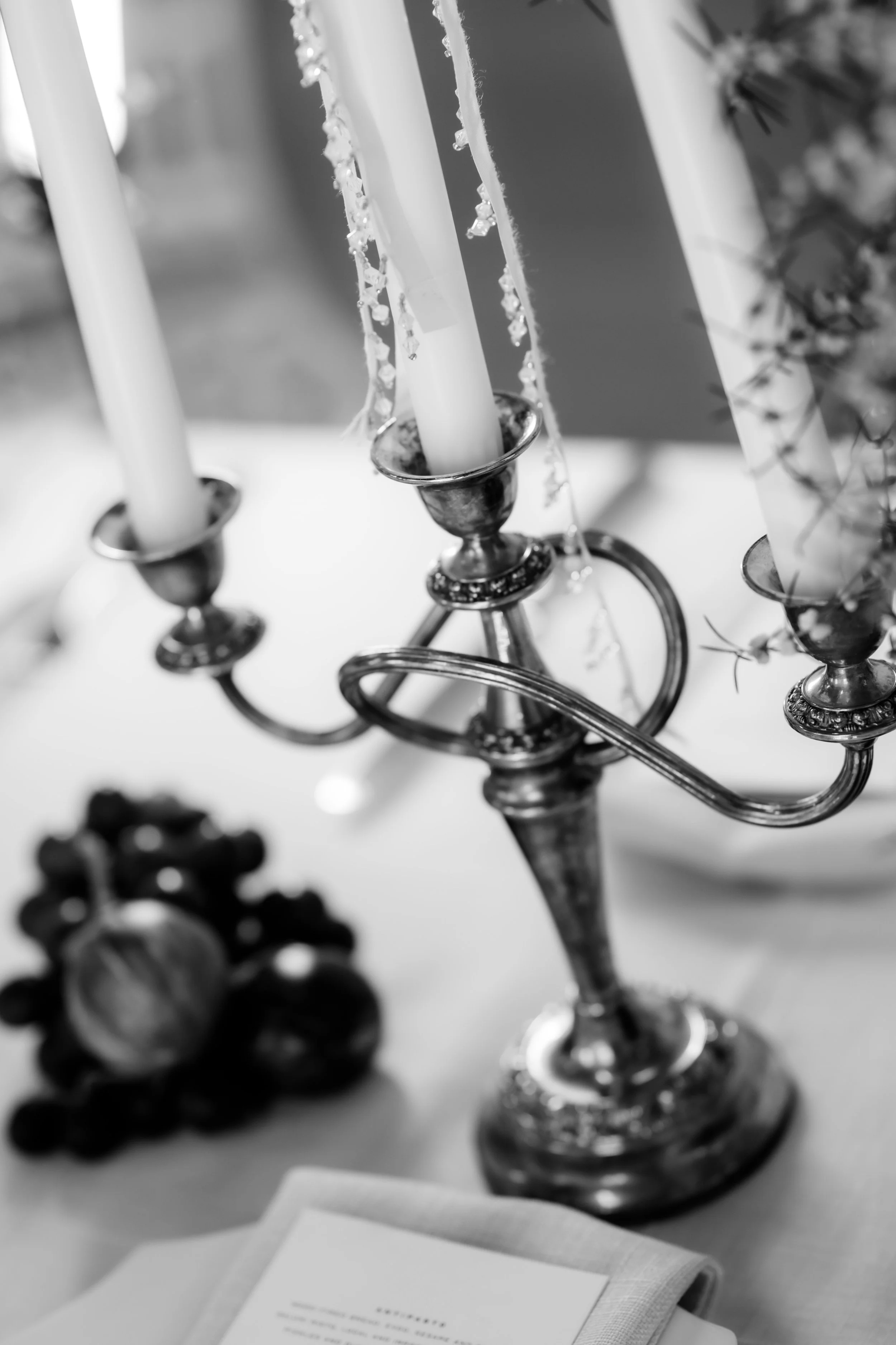 LWSP-  melblooms-5326.jpg