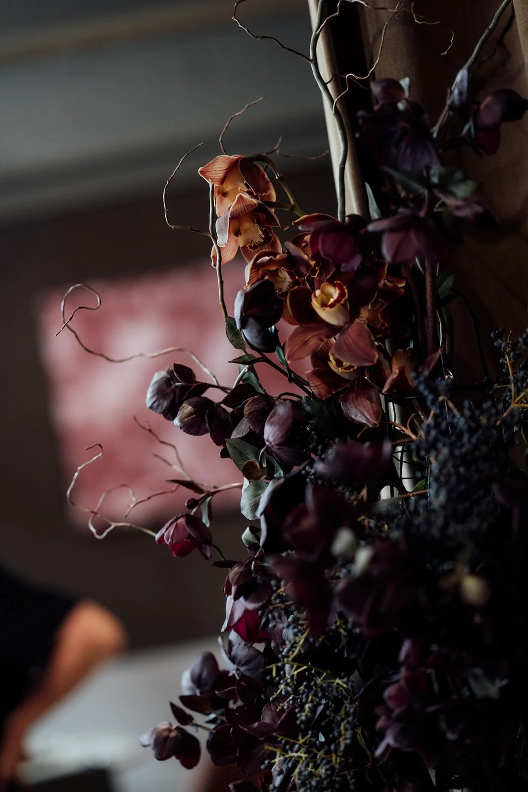 LWSP- daisy-9785_websize.jpg