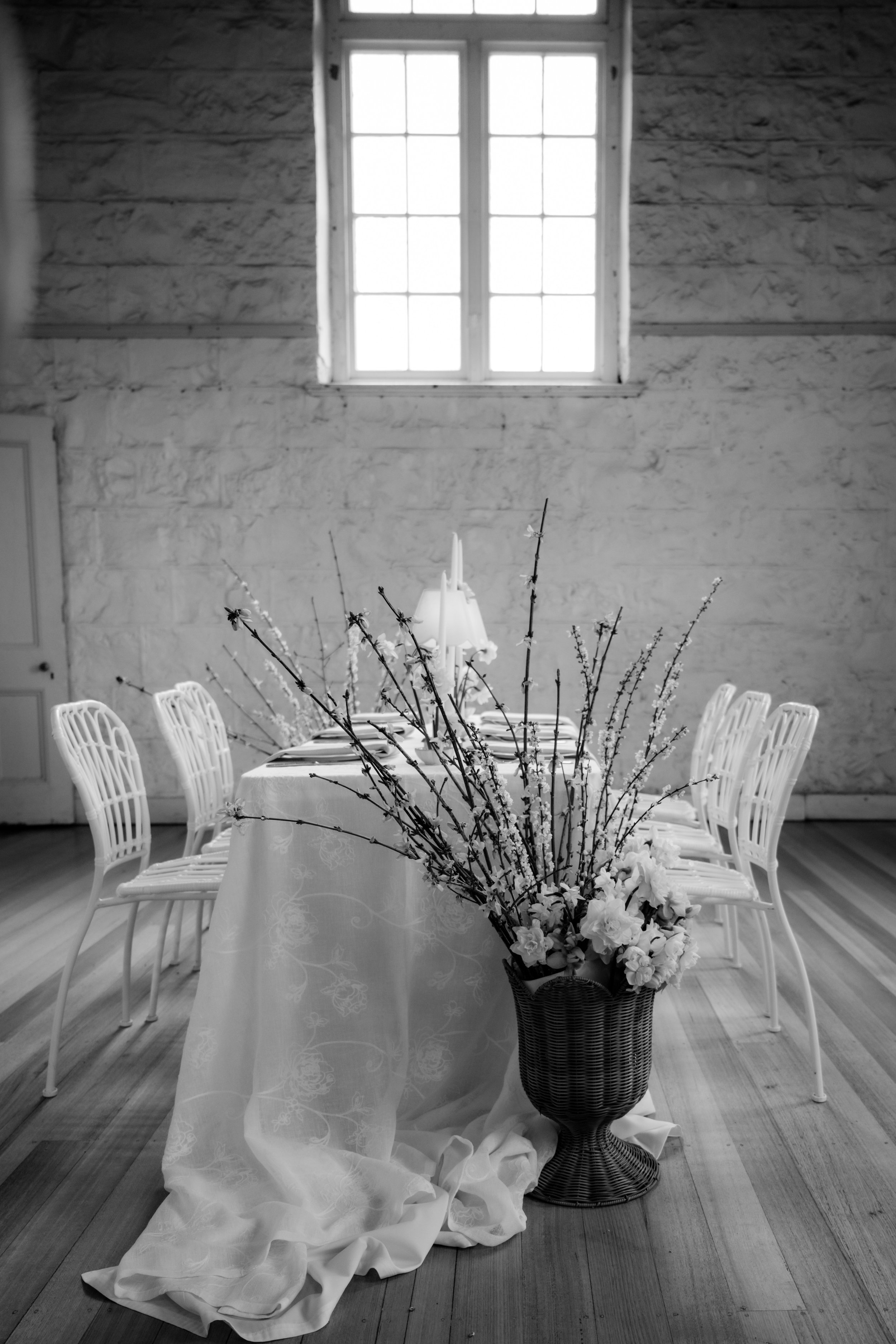 LWSP-  melblooms-5137.jpg