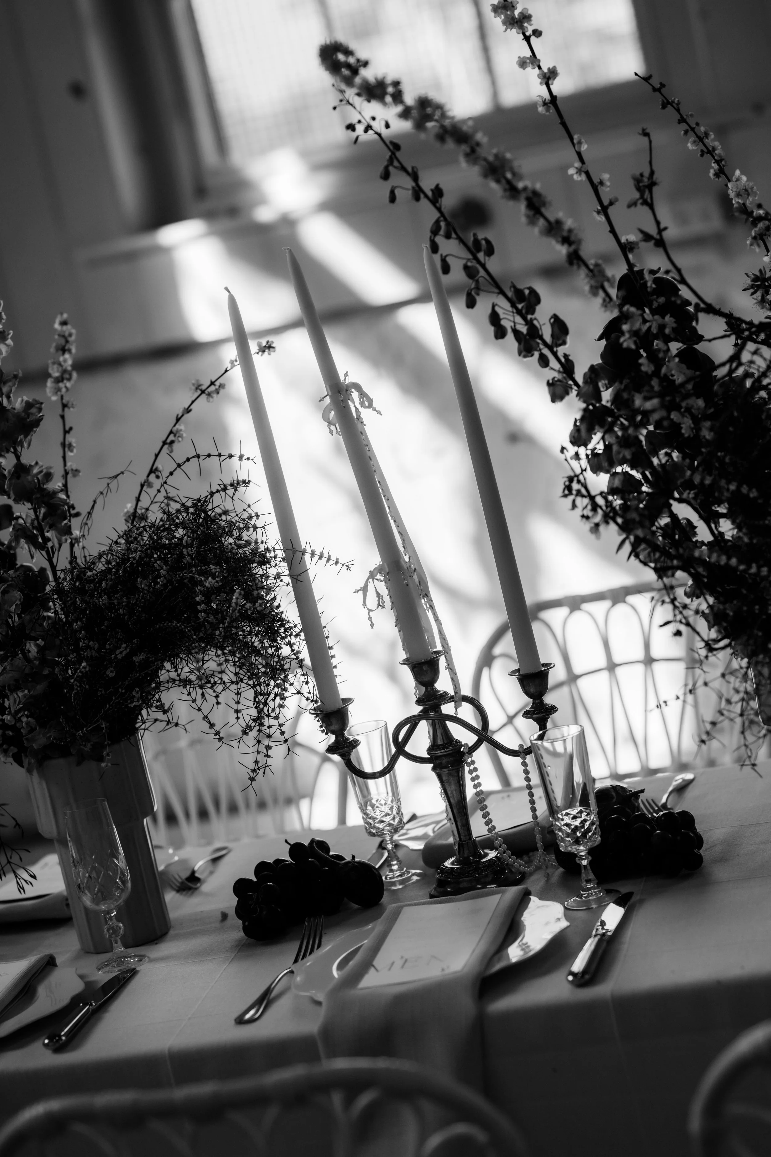 LWSP-  melblooms-5648.jpg