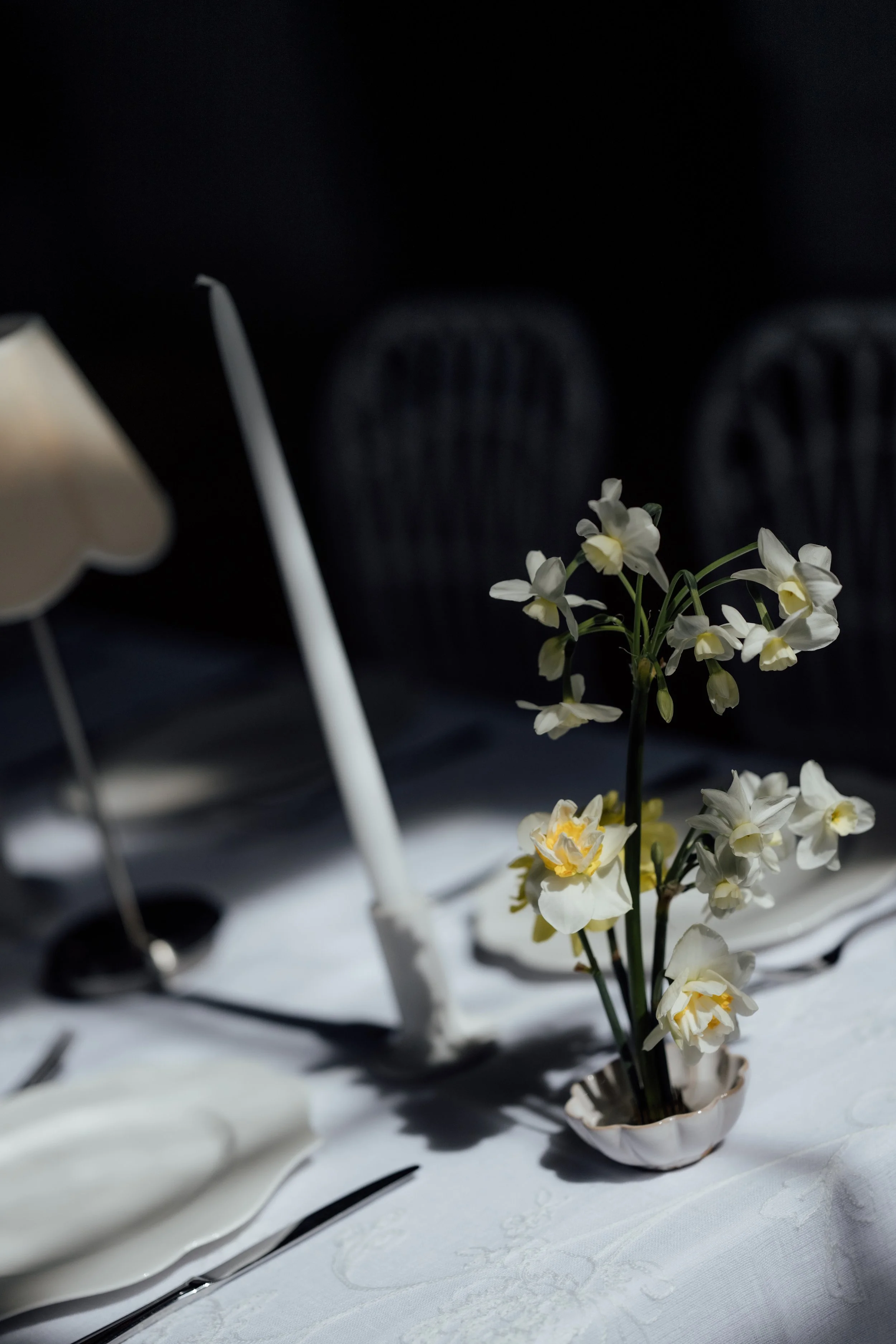 LWSP-  melblooms-4990.jpg