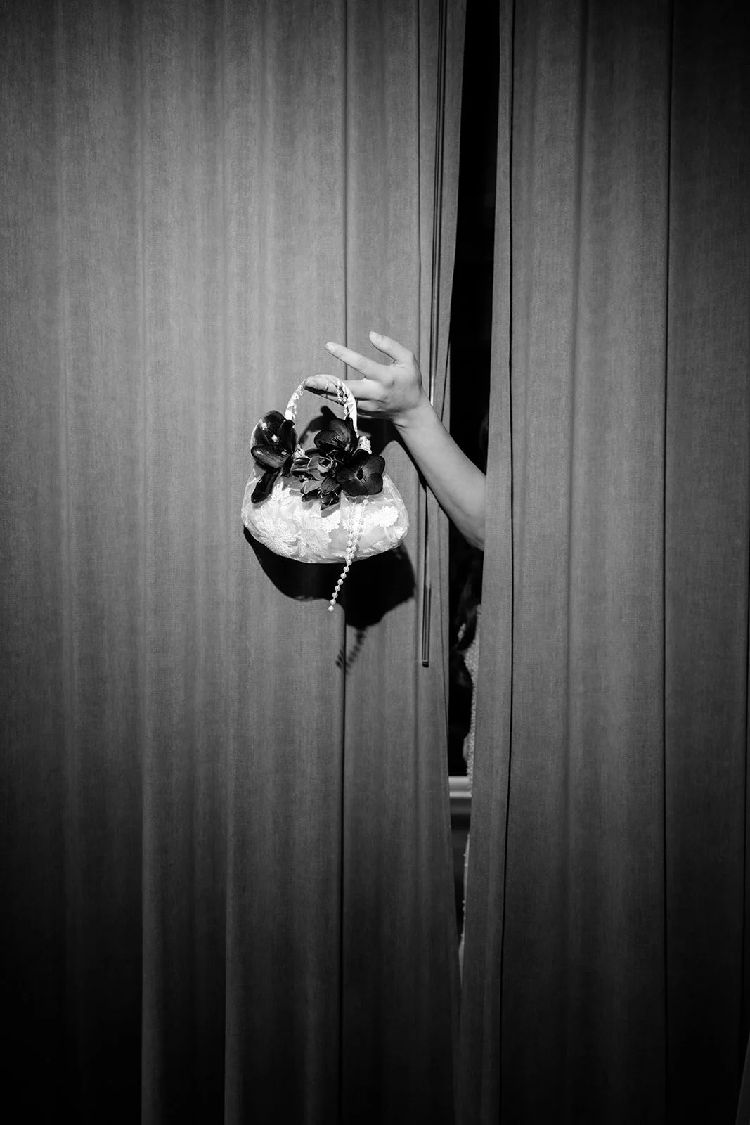 LWSP- daisy-8537_websize-2.jpg