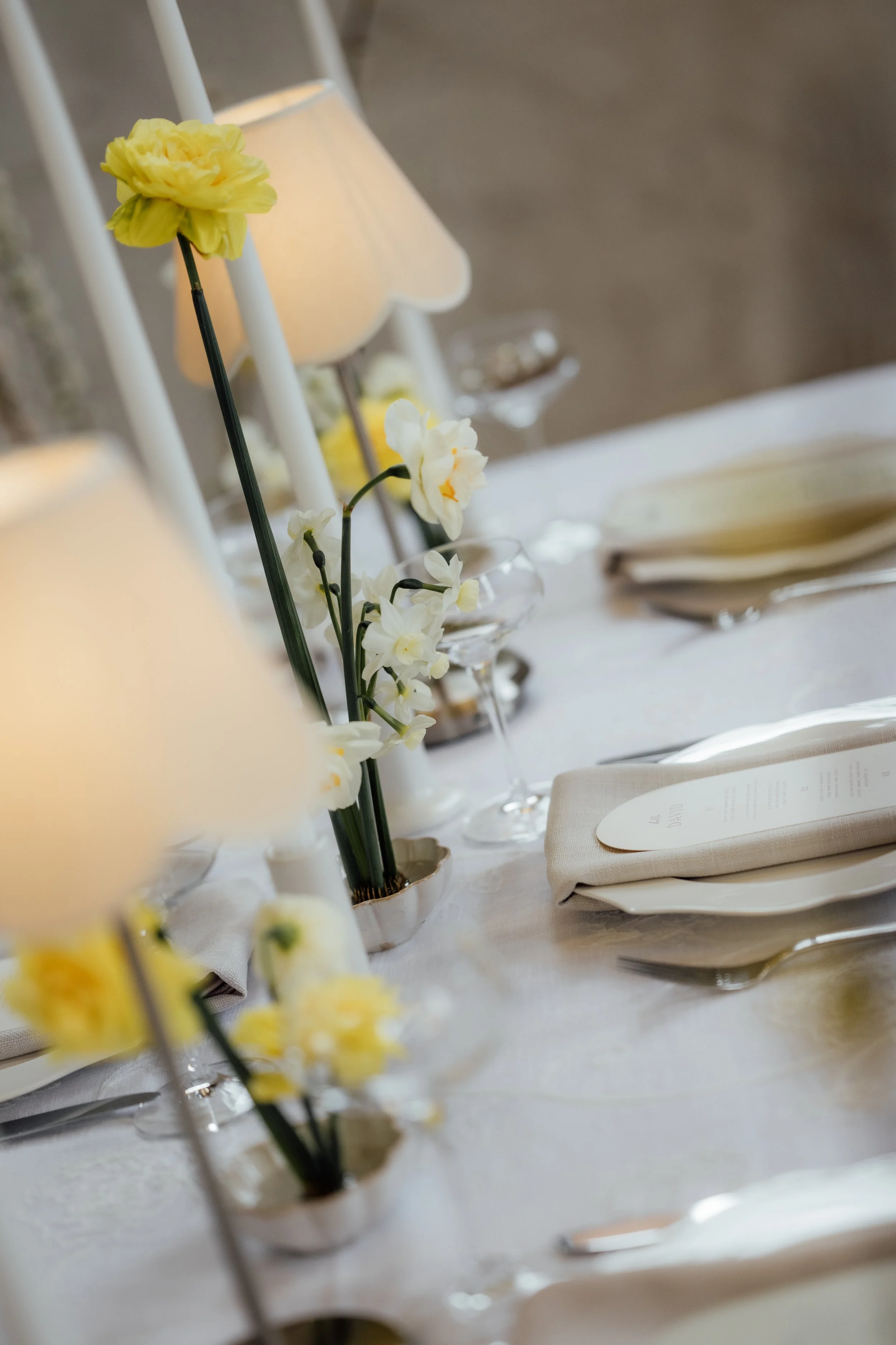 LWSP-  melblooms-5177.jpg