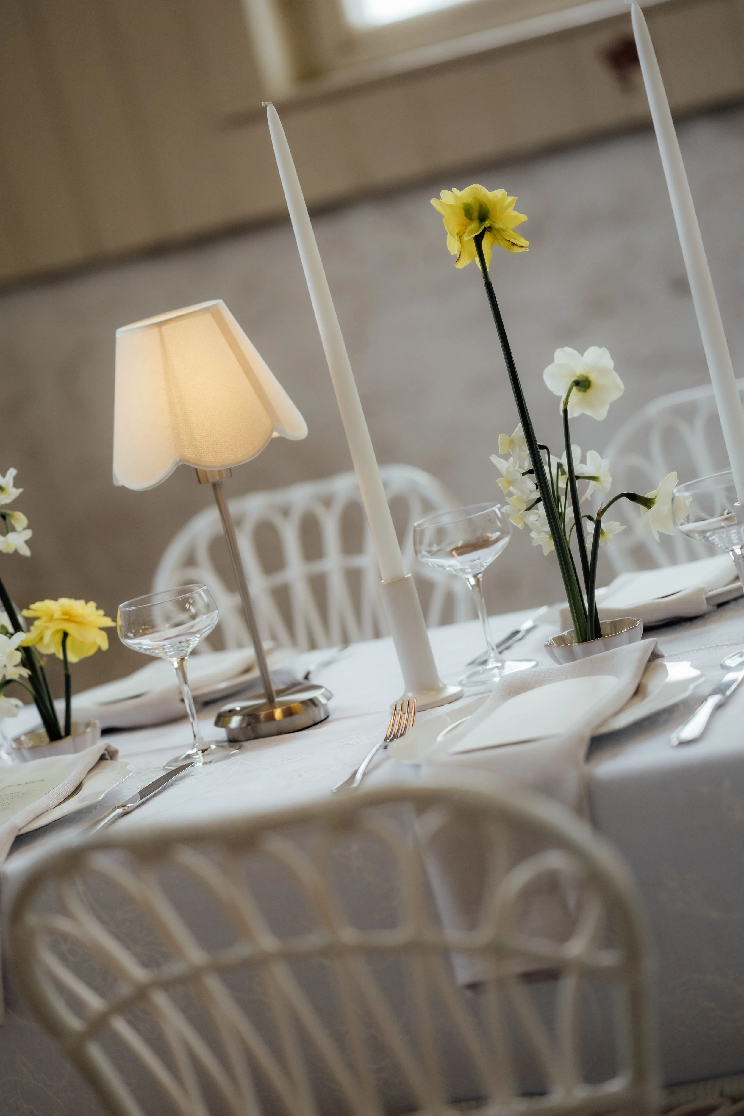 LWSP-  melblooms-5184-2.jpg