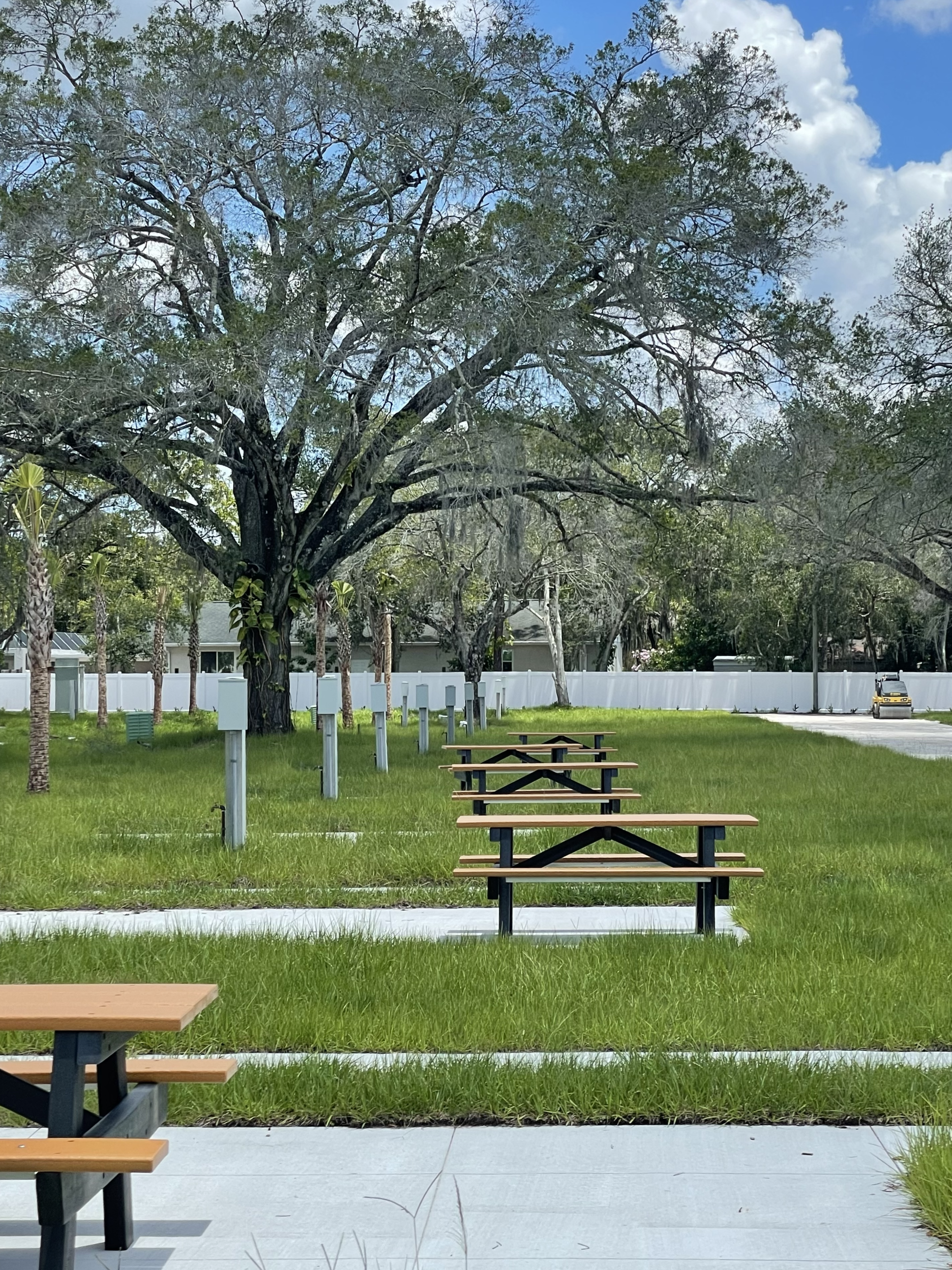 Jungle Lot Photo RV Park Plot for RV Campground Florida Nature Oak Trees