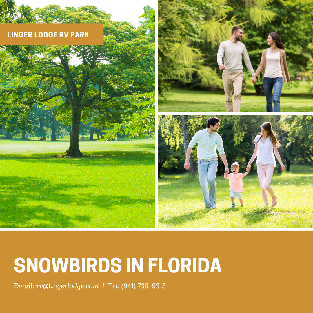 RV Parks For Snowbirds In Florida Linger Lodge