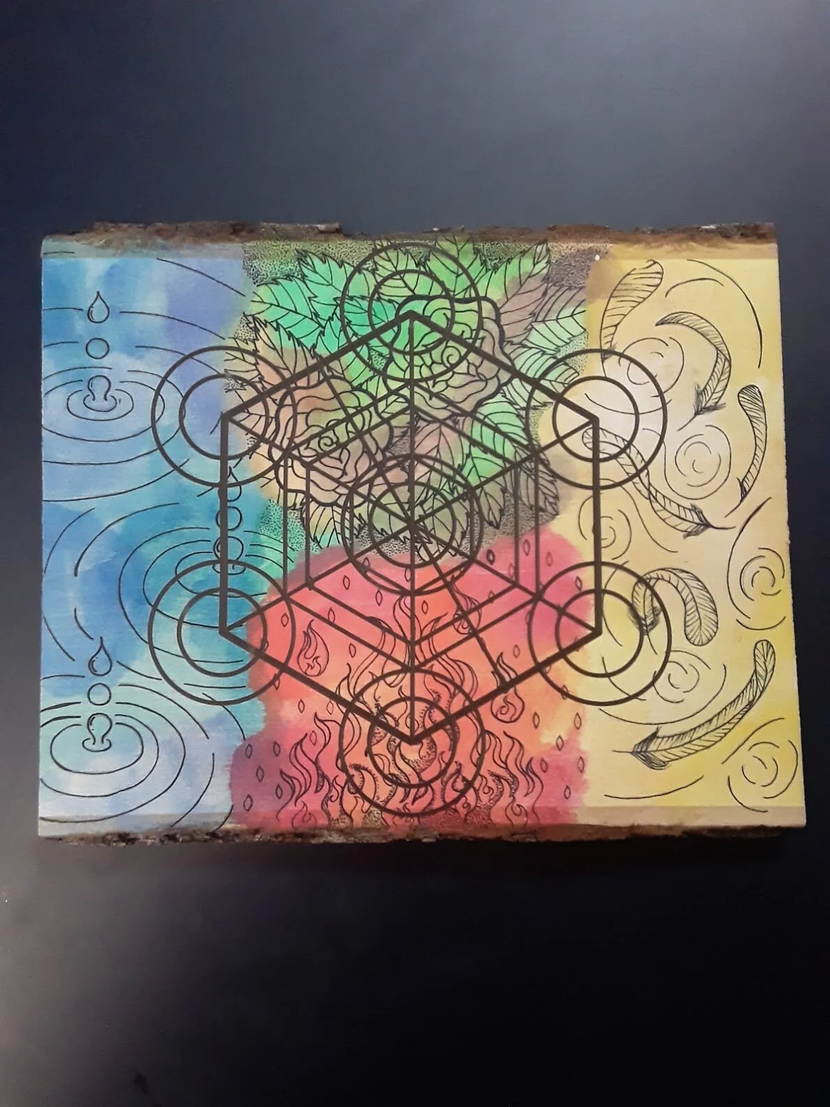 20210227_150245 (2).jpg