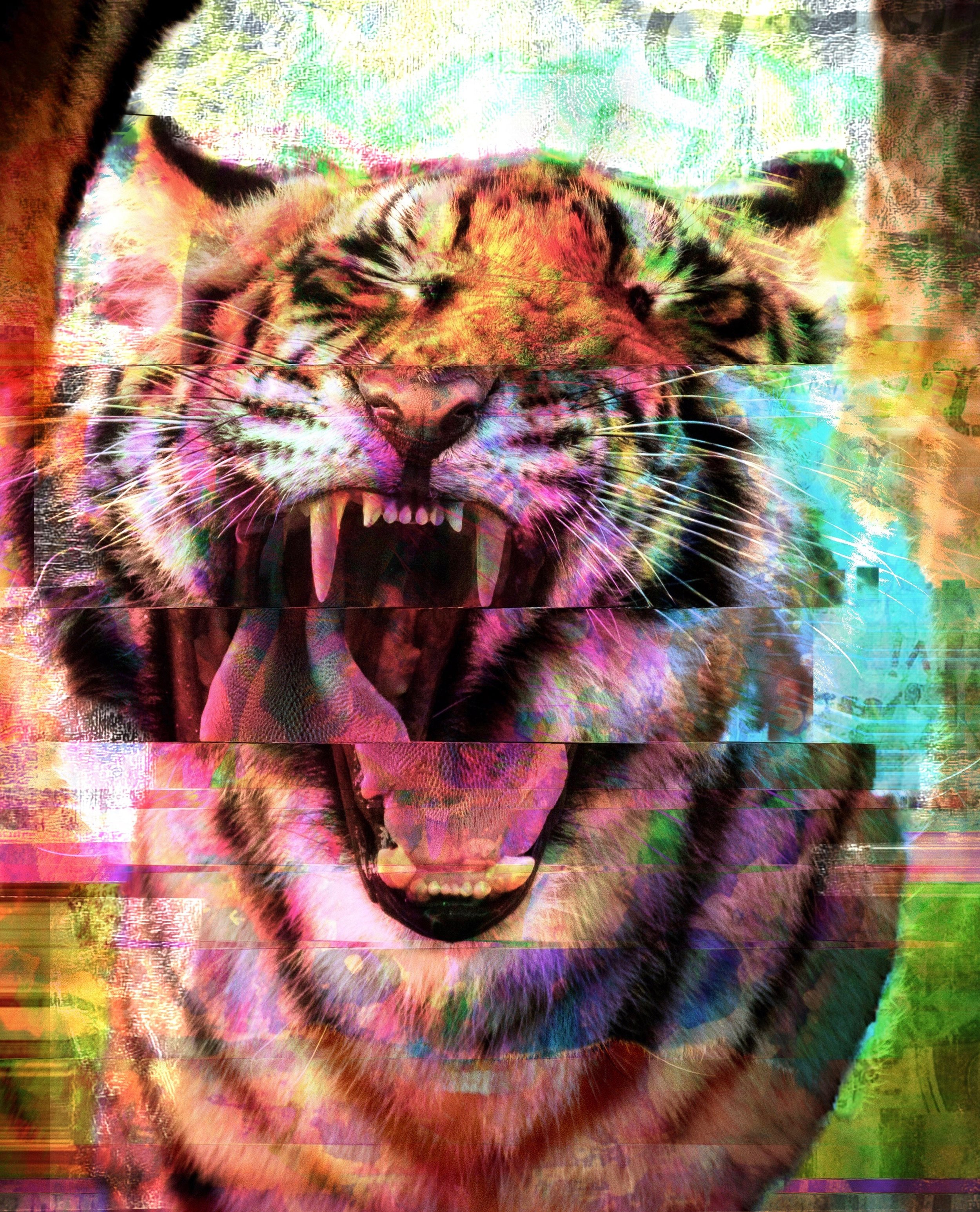 TigerDreamer.jpg