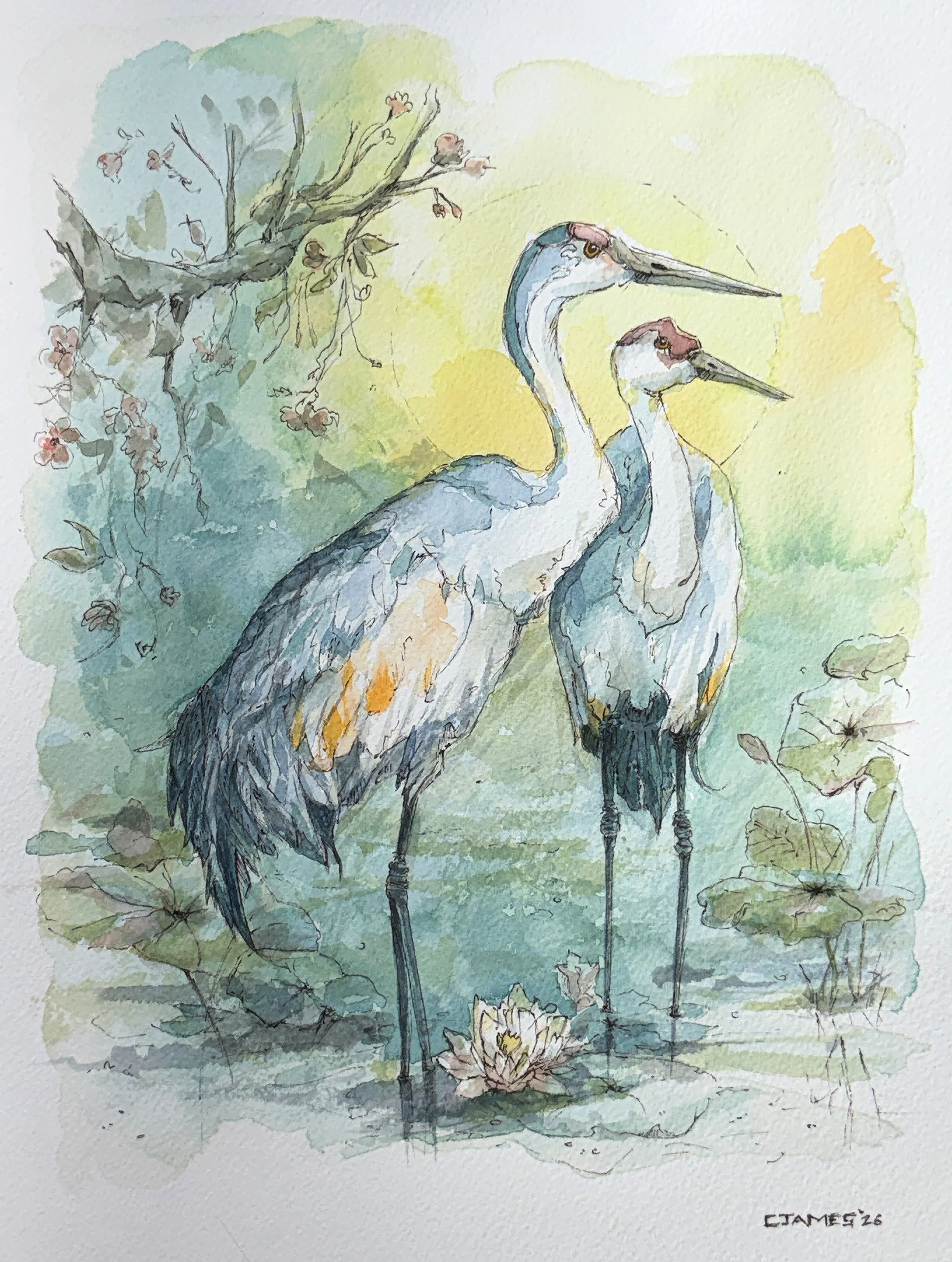 9x12_Cranes.jpg