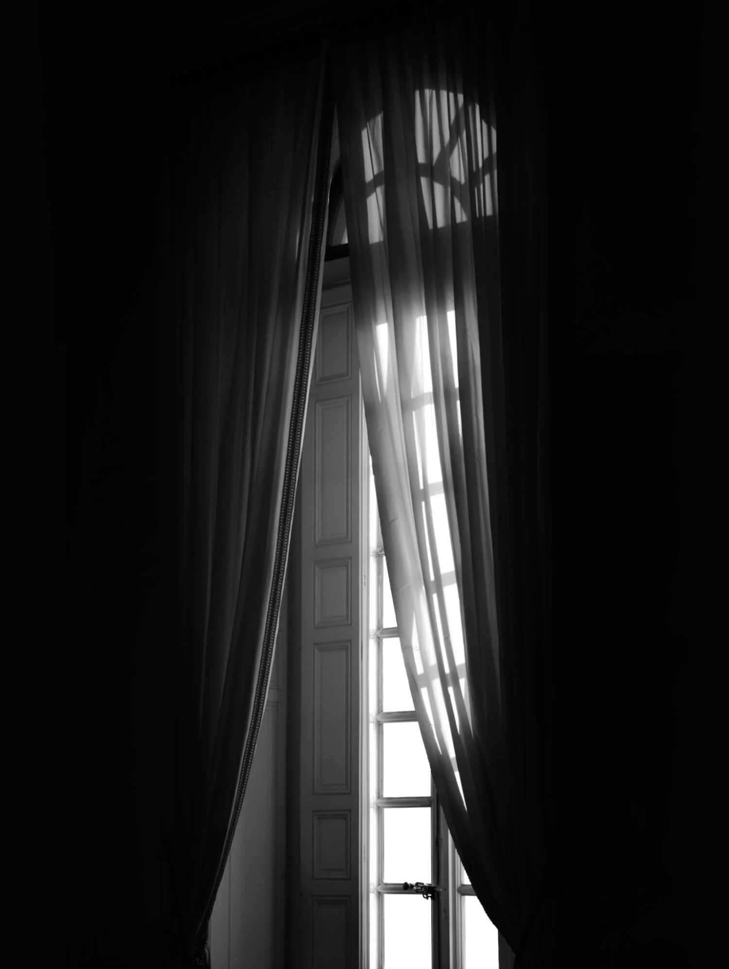 P1096400.jpg