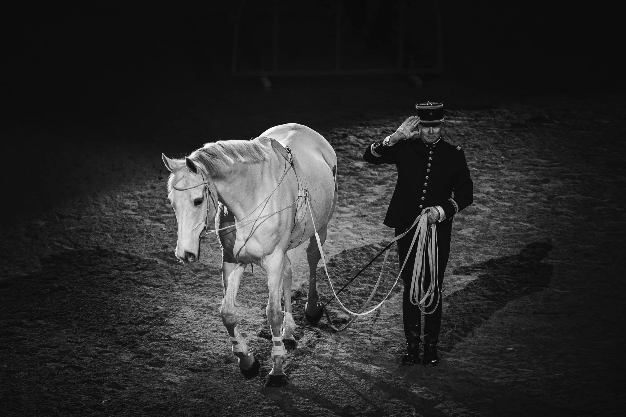 DSC_1477.jpg