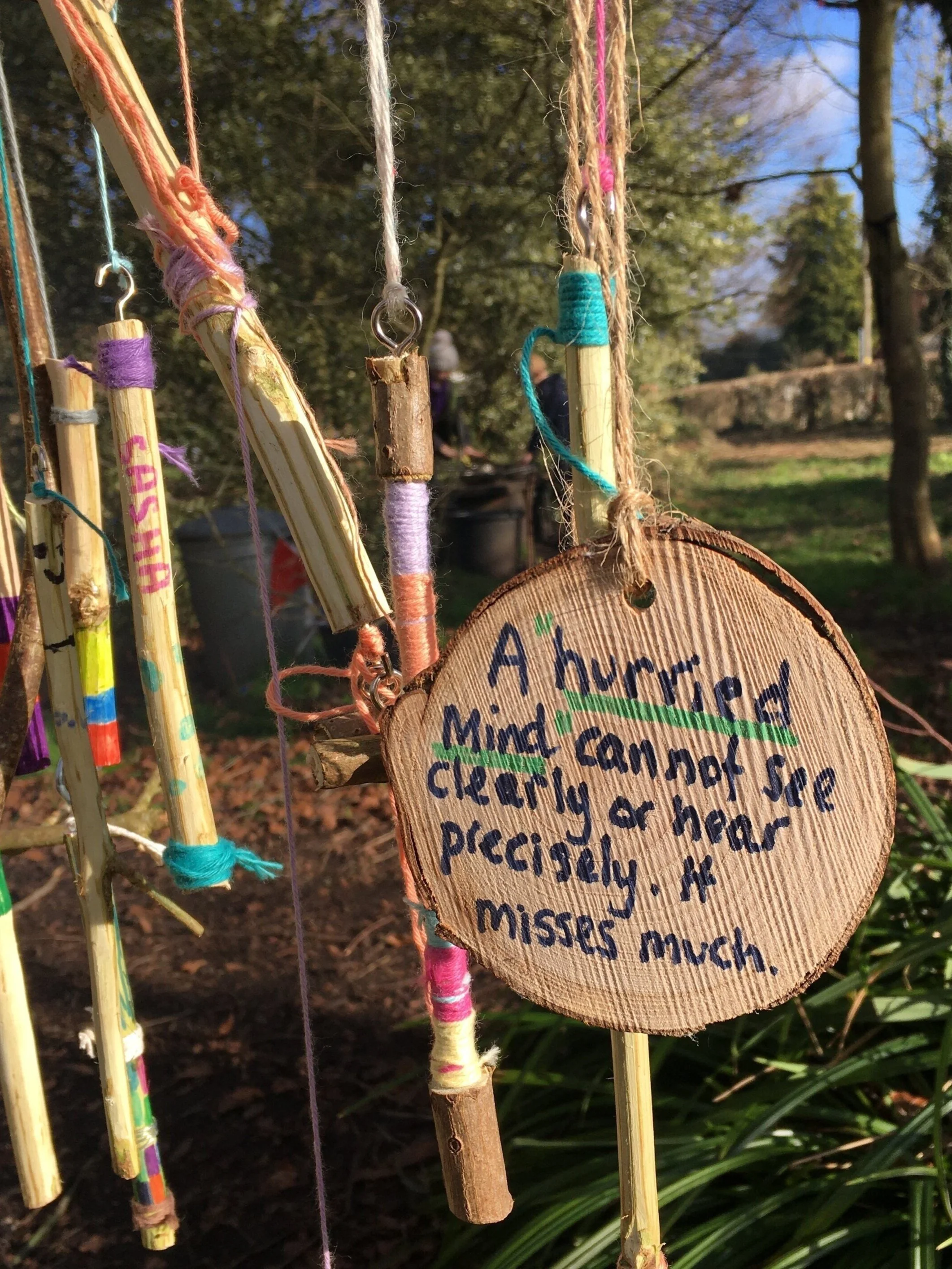 1 : 1 therapeutic forest school